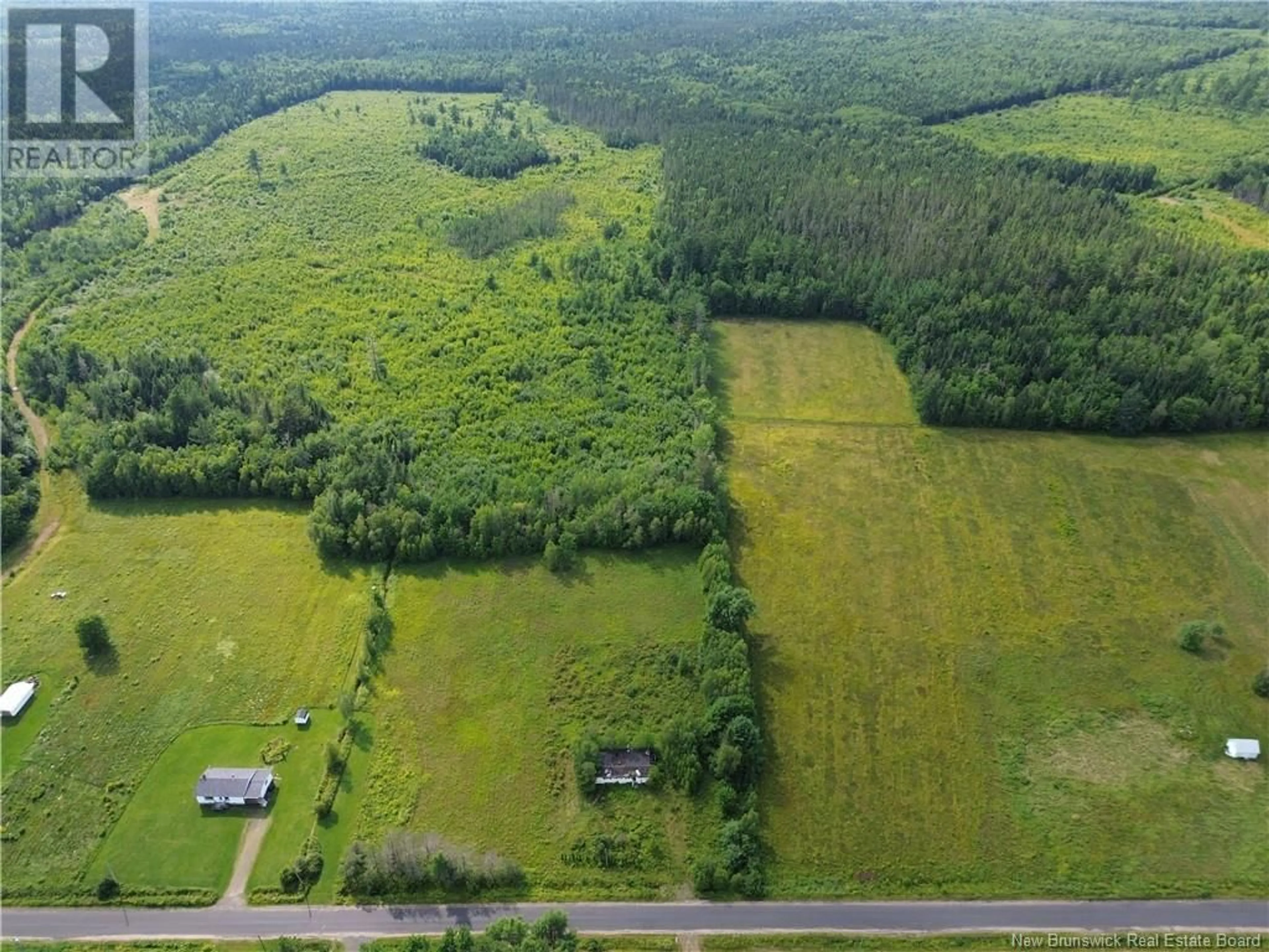 Forest view for 577 Red Bank Road, Chipman New Brunswick E3A2B7