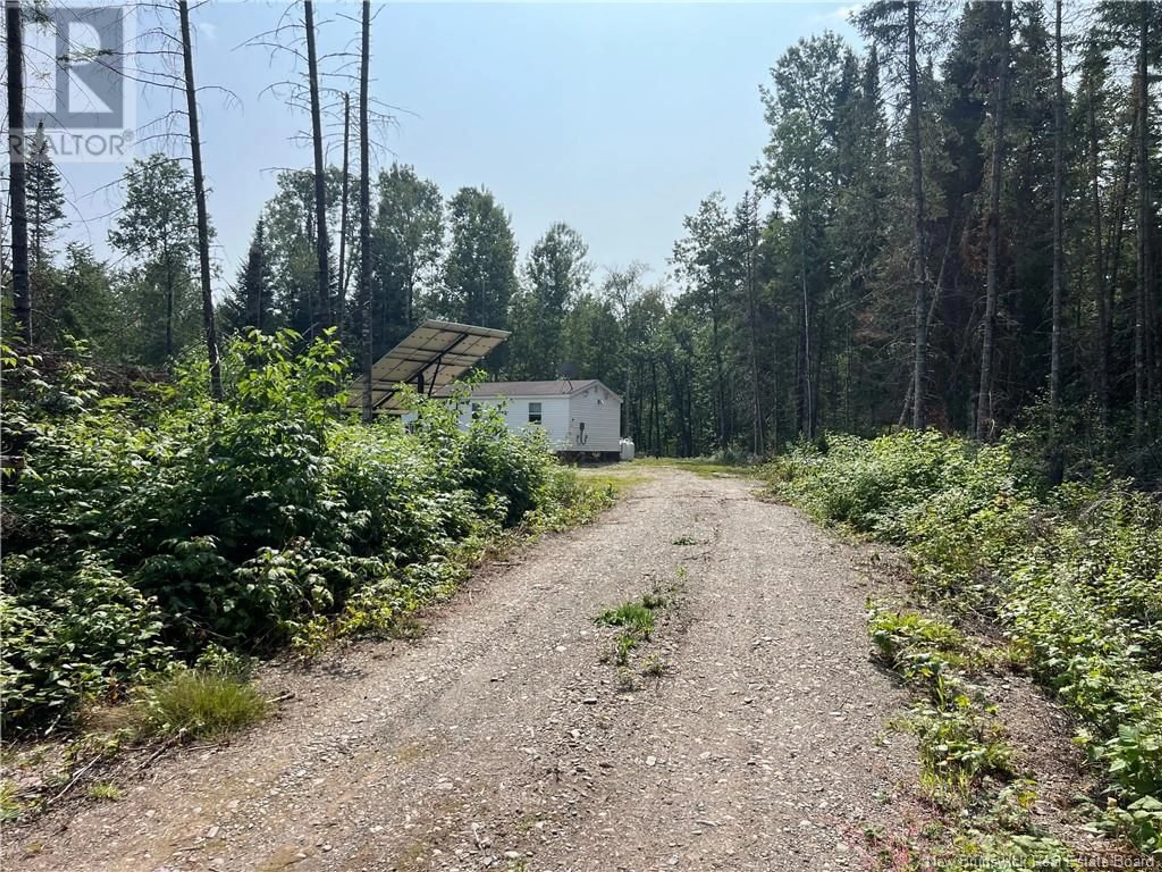 Shed for 250 Ogilvy Lane, Oxbow New Brunswick E7G2L5