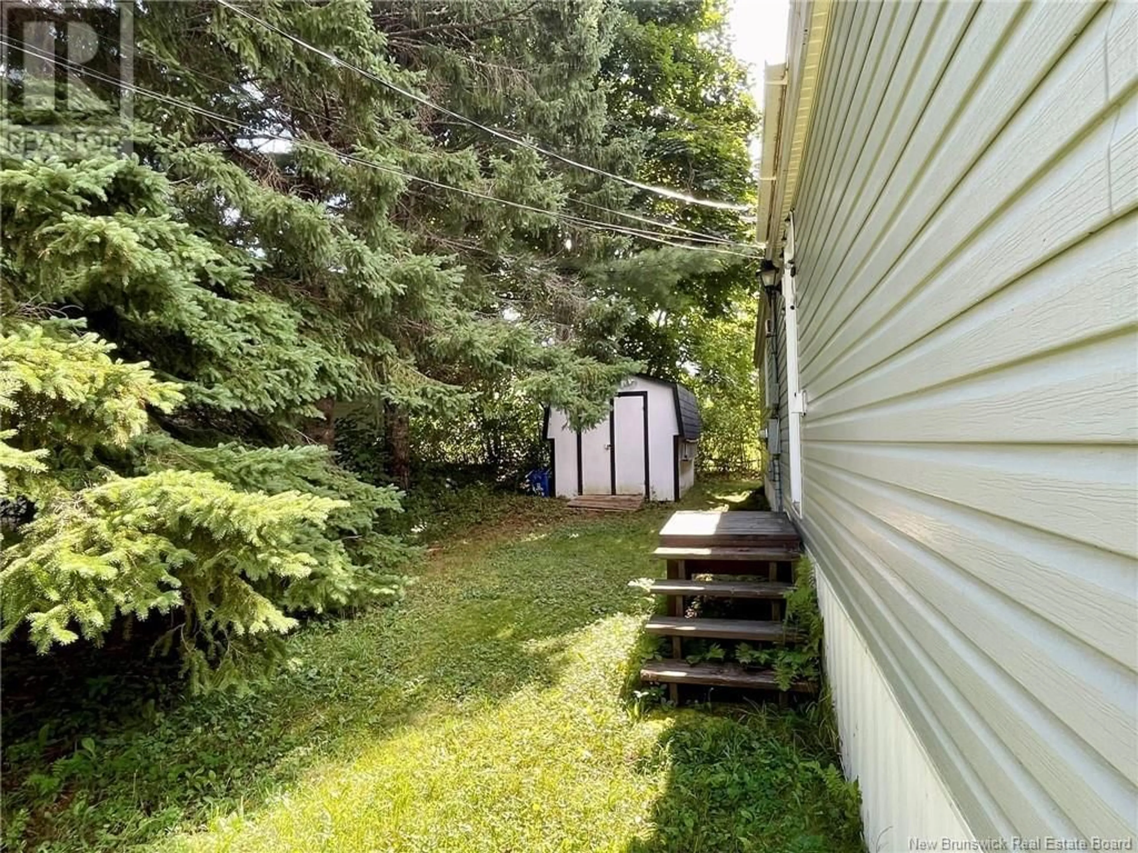 Frontside or backside of a home, the fenced backyard for 55 Dorothy Lane, Miramichi New Brunswick E1N3Z7