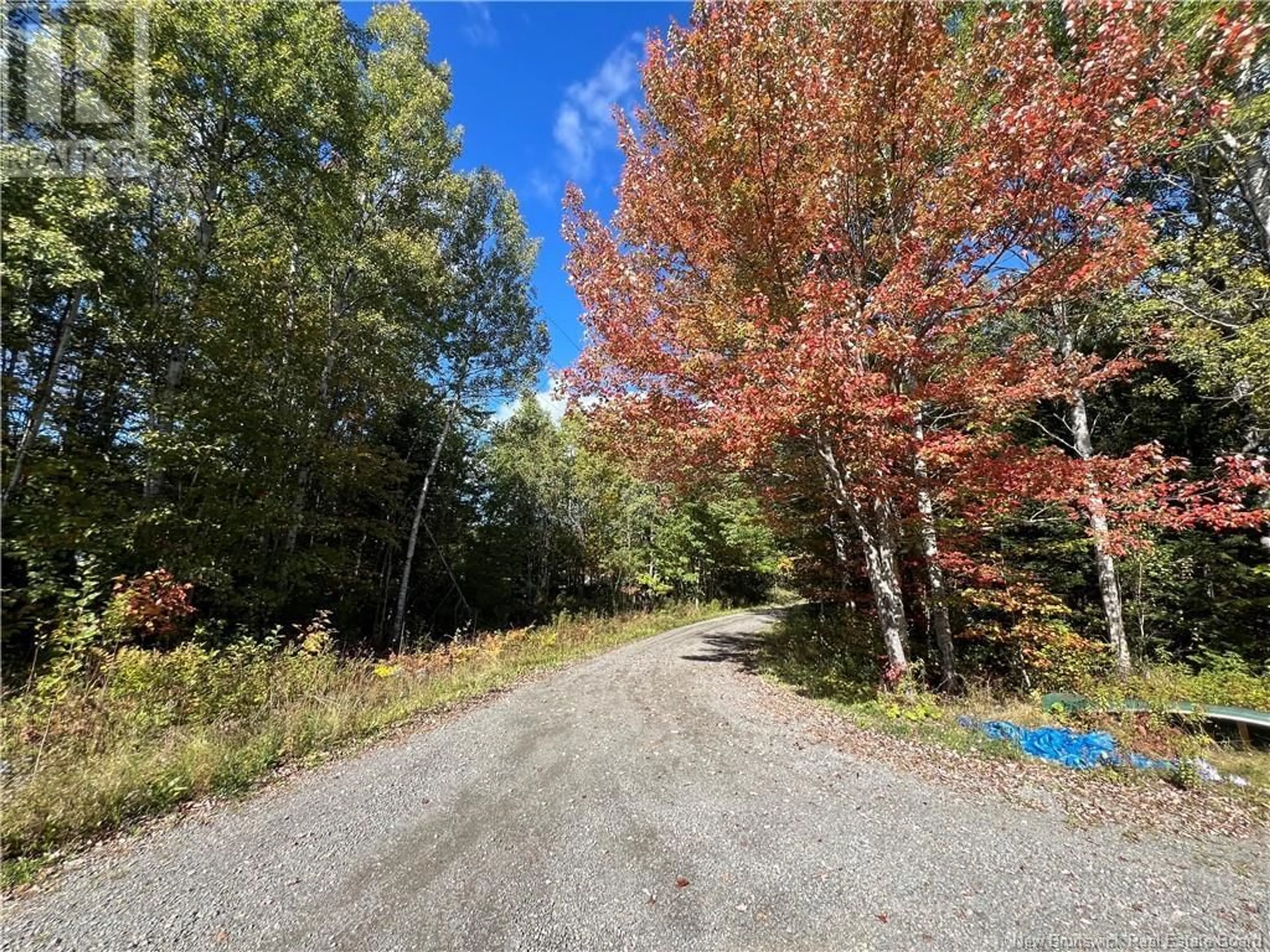 A pic from exterior of the house or condo, the street view for 46884 Homestead Road, Salisbury New Brunswick E1G4P1