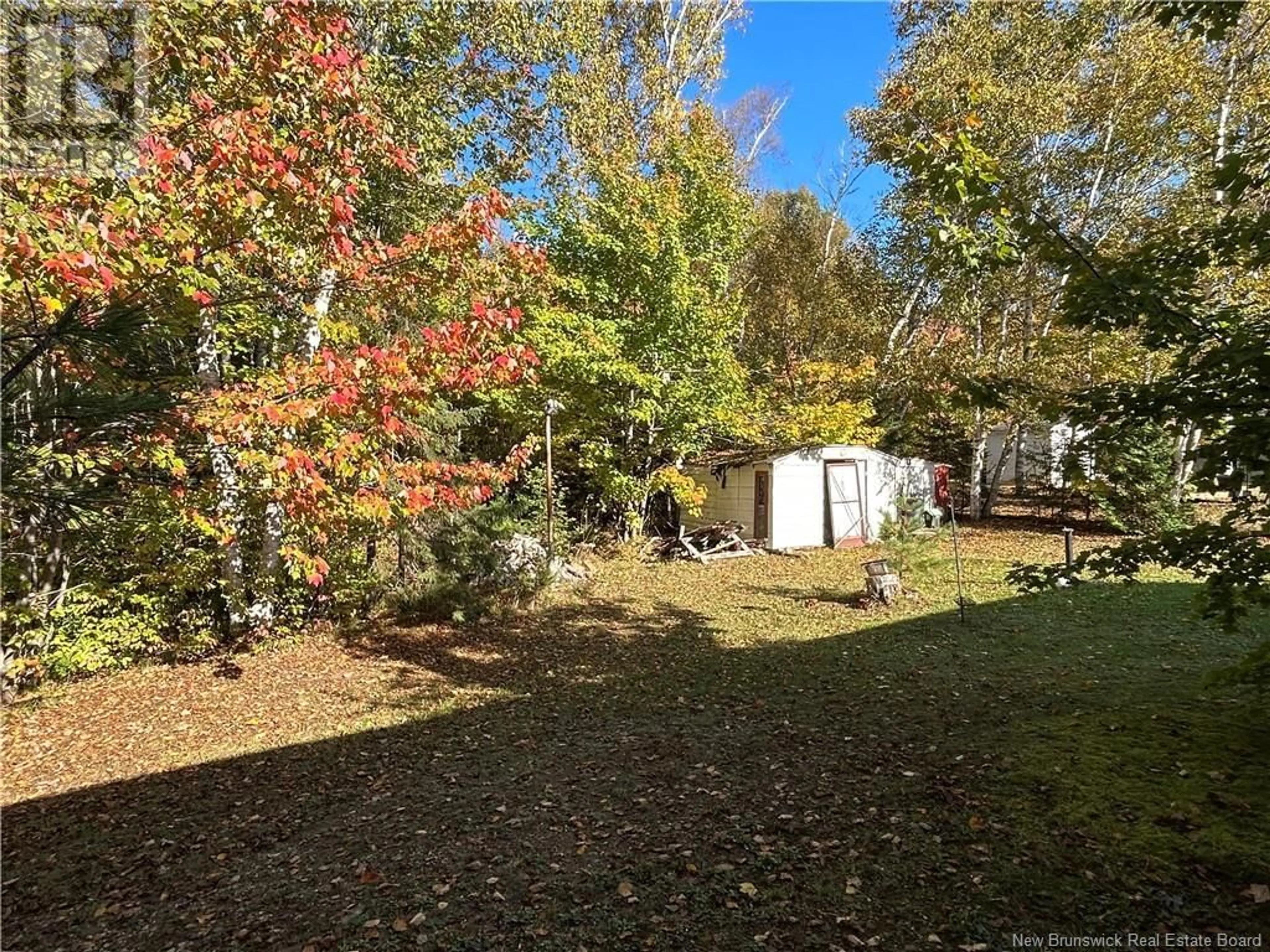 Frontside or backside of a home, the fenced backyard for 12 Forrest Street, Miramichi New Brunswick E1N4P4