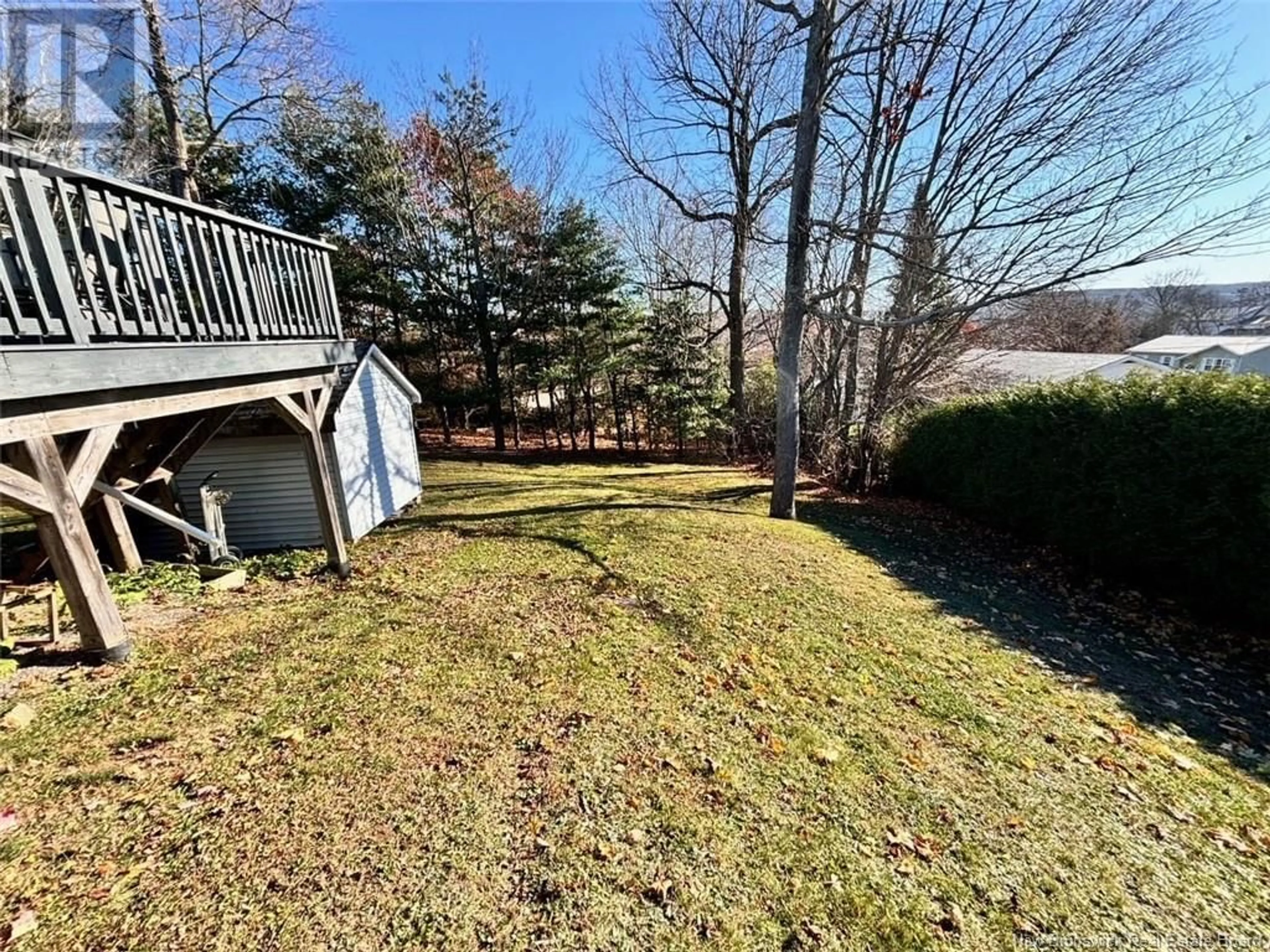 Frontside or backside of a home, the fenced backyard for 126 Creighton Street, Woodstock New Brunswick E7M1N3