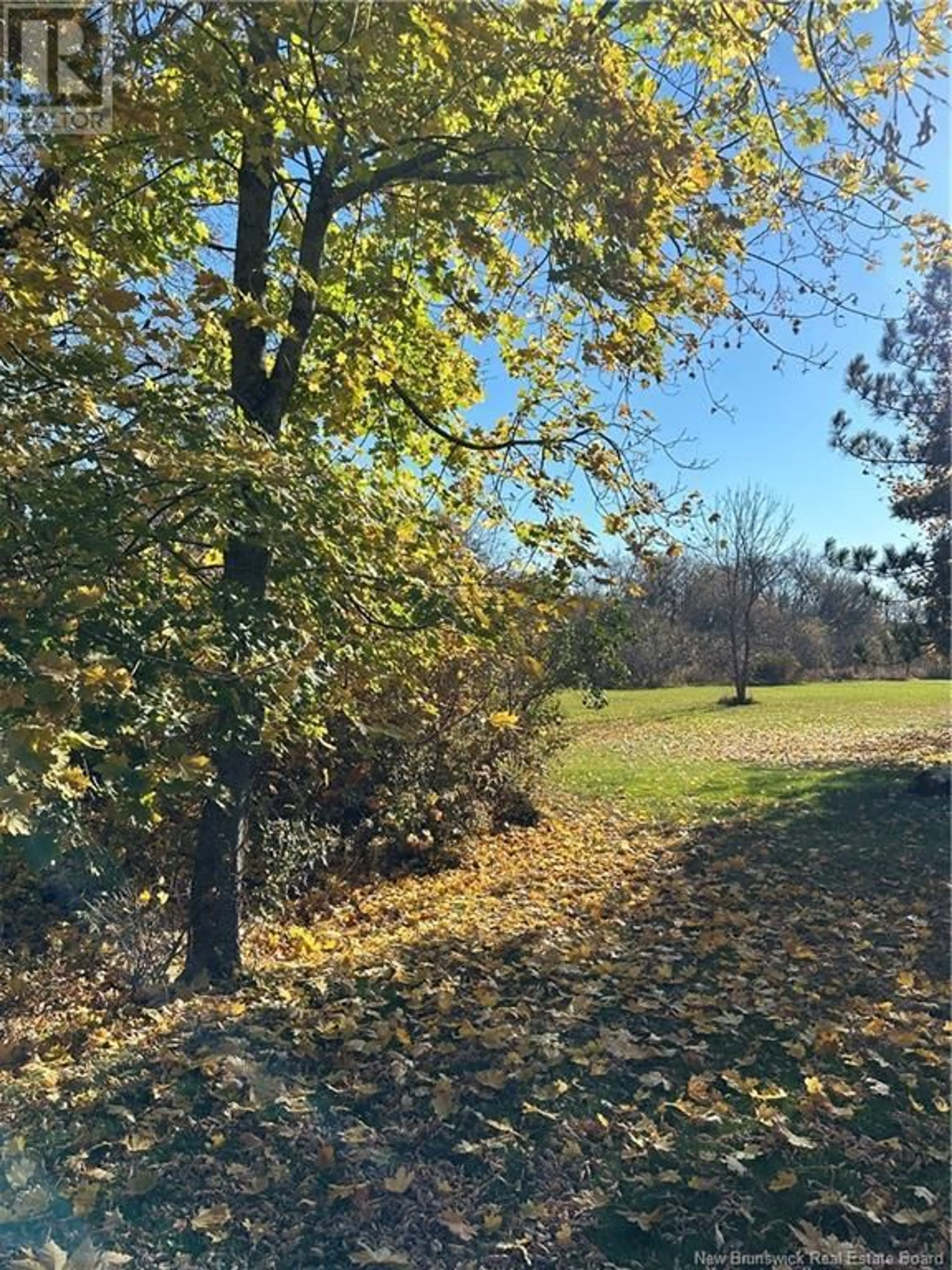 A pic from exterior of the house or condo, the fenced backyard for 45 Wallace Court, Sussex New Brunswick E4E2C7