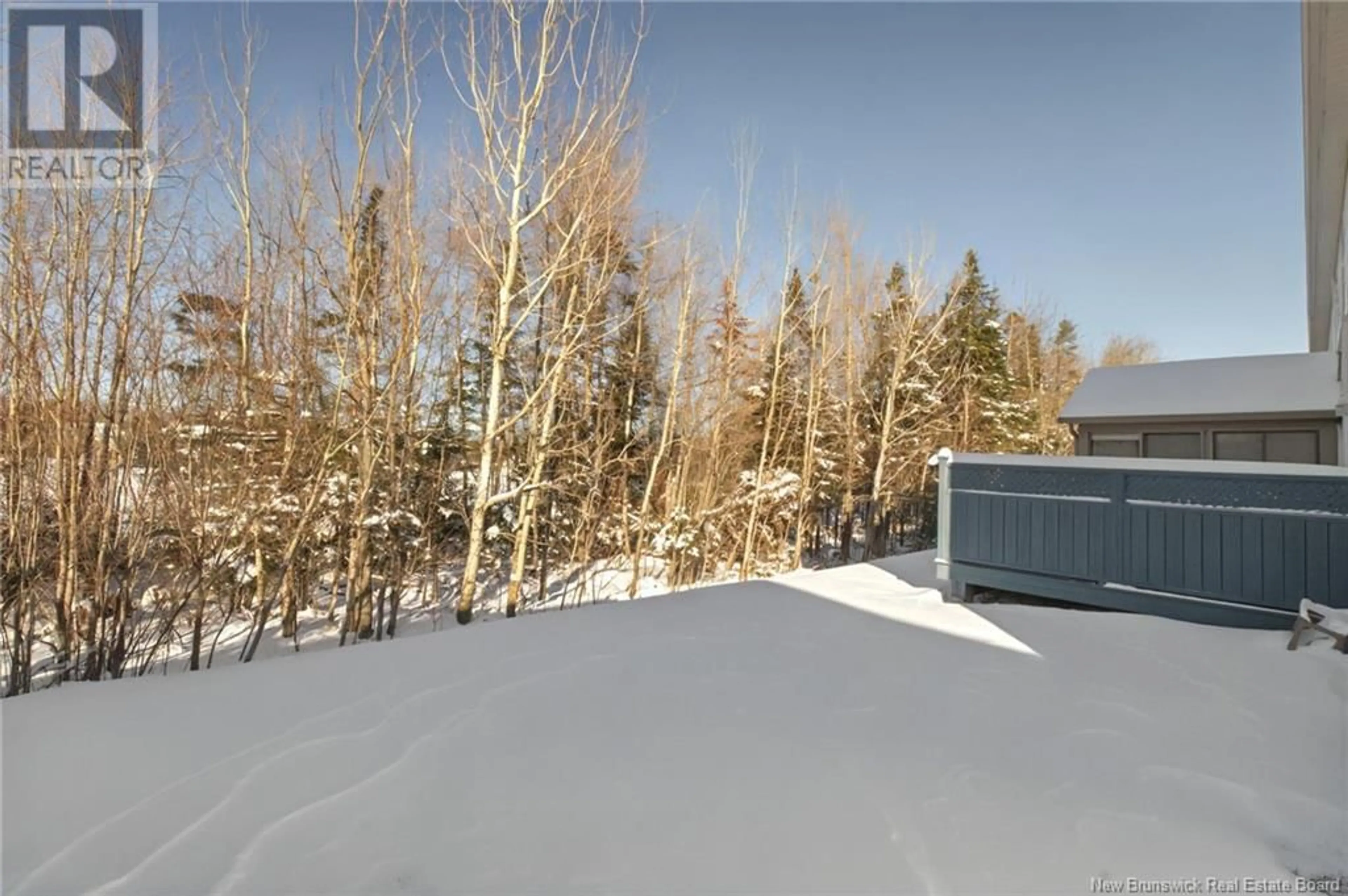 A pic from outside/outdoor area/front of a property/back of a property/a pic from drone, forest/trees view for 142 Damien, Dieppe New Brunswick E1A0H3