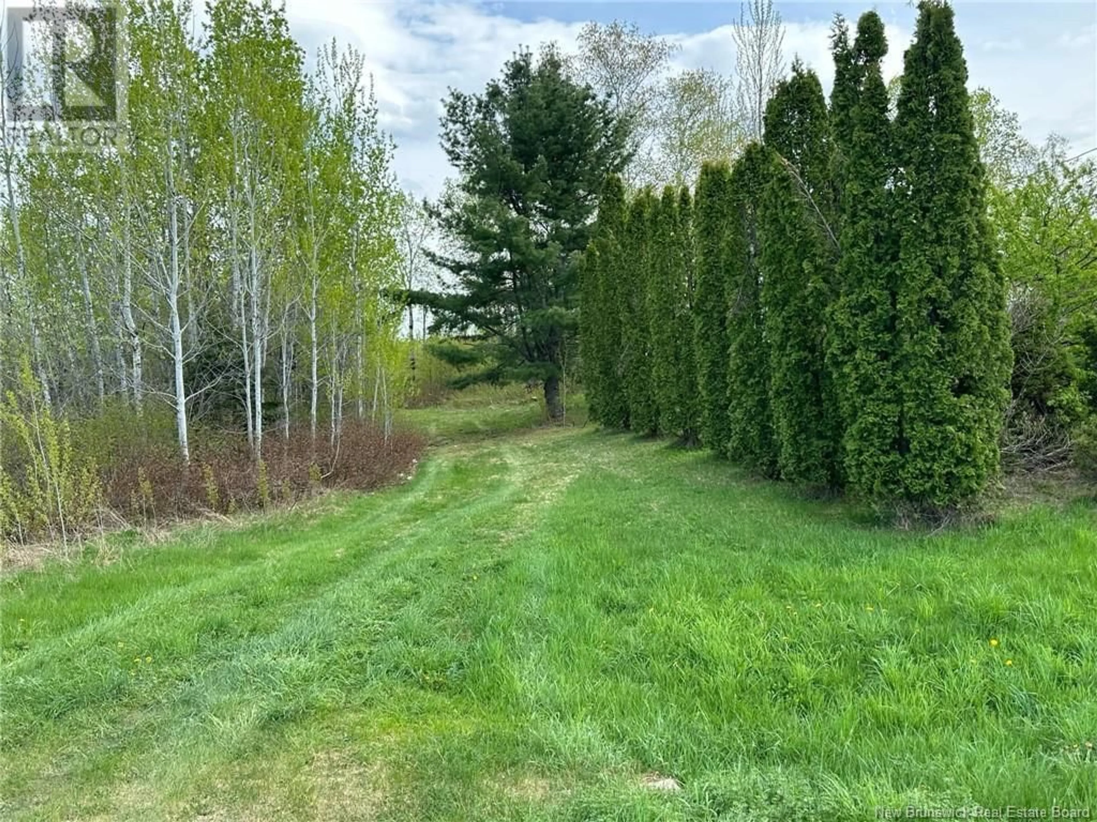 A pic from outside/outdoor area/front of a property/back of a property/a pic from drone, forest/trees view for 193 GRAVEL HILL Road, Gravel Hill New Brunswick E8G1N5