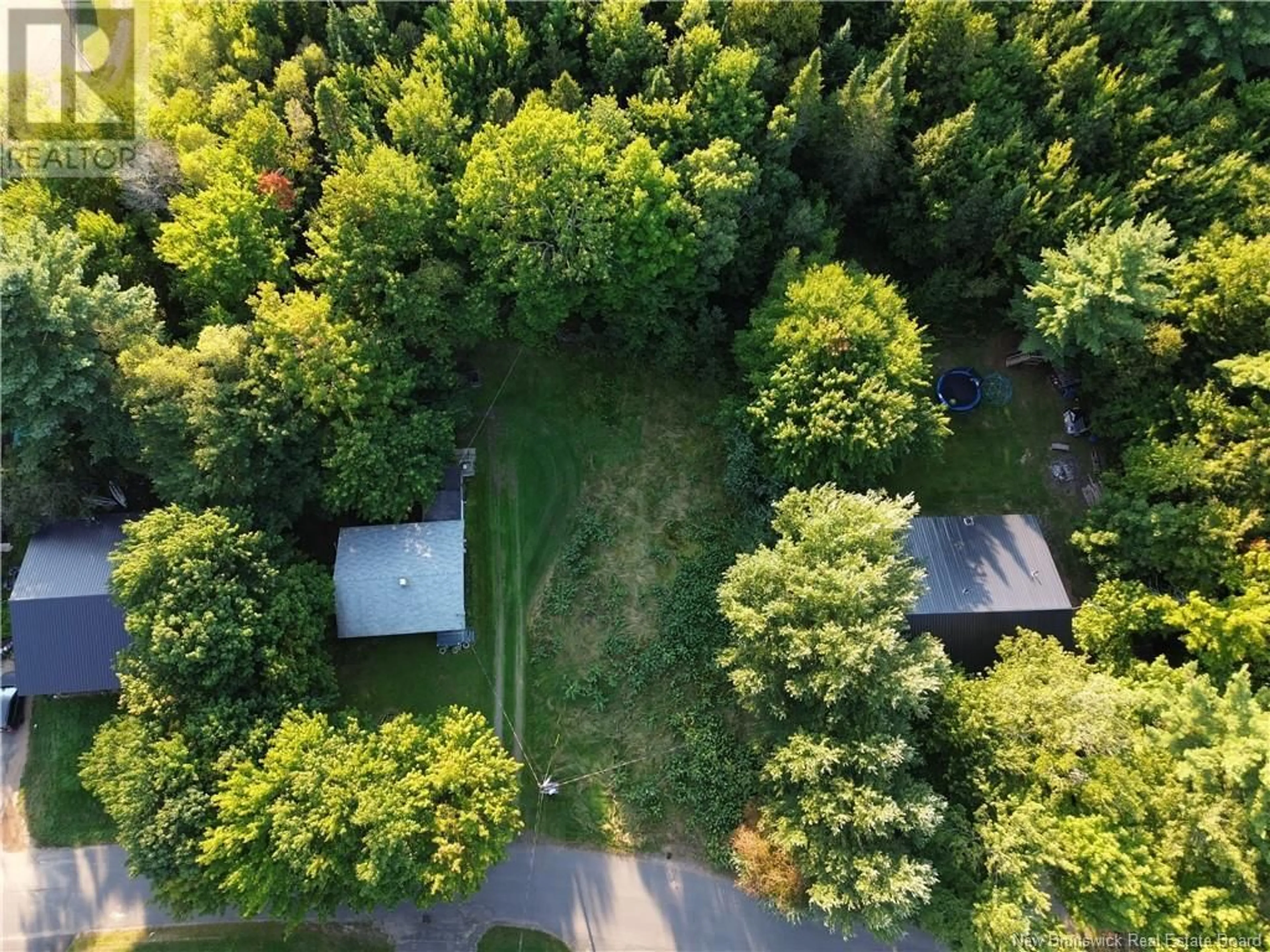 A pic from outside/outdoor area/front of a property/back of a property/a pic from drone, forest/trees view for 95 Diamond Drive, Minto New Brunswick E3B2Y6