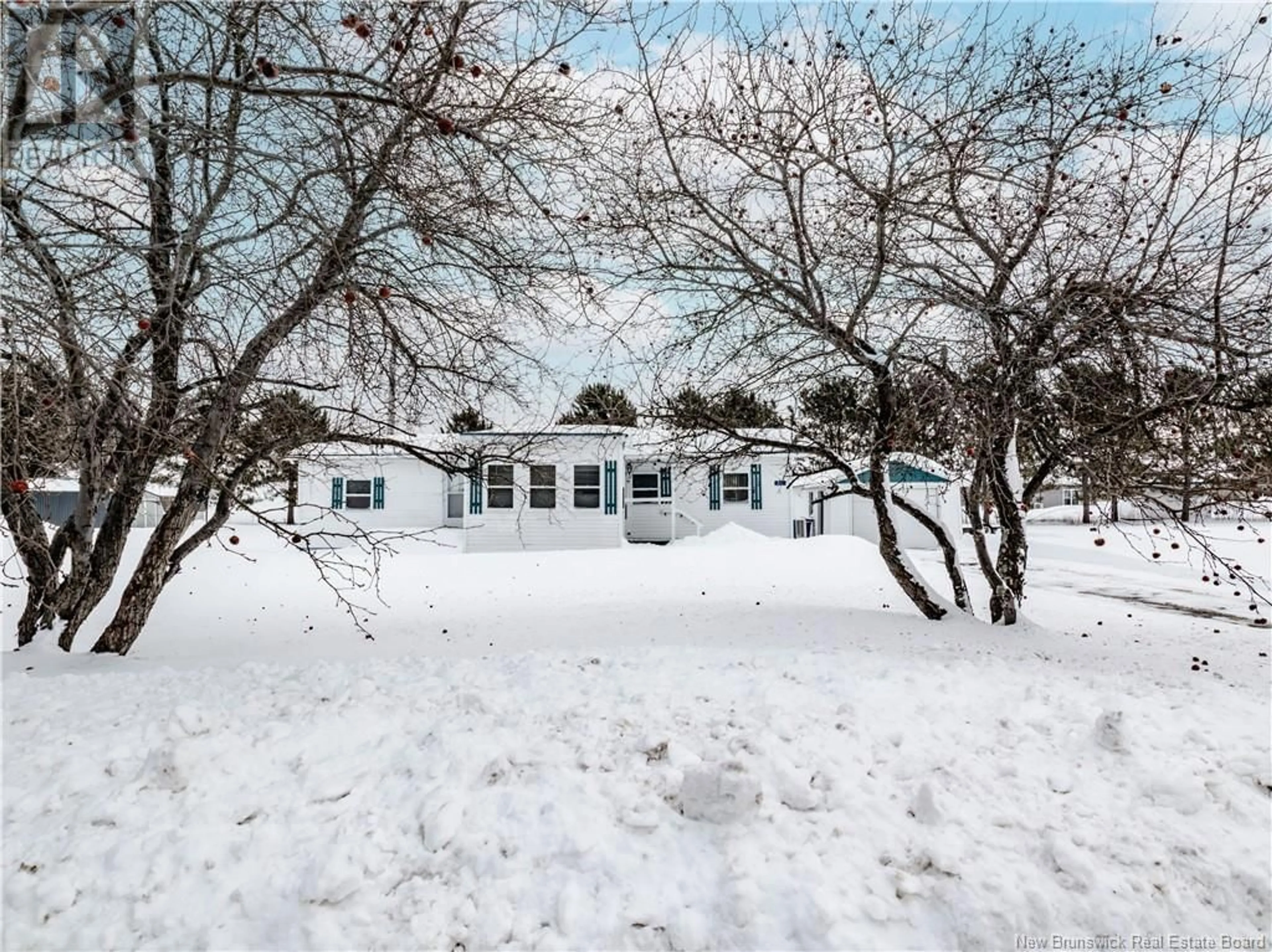 A pic from outside/outdoor area/front of a property/back of a property/a pic from drone, street for 20 Centennial East Avenue, Jardineville New Brunswick E4W1X2