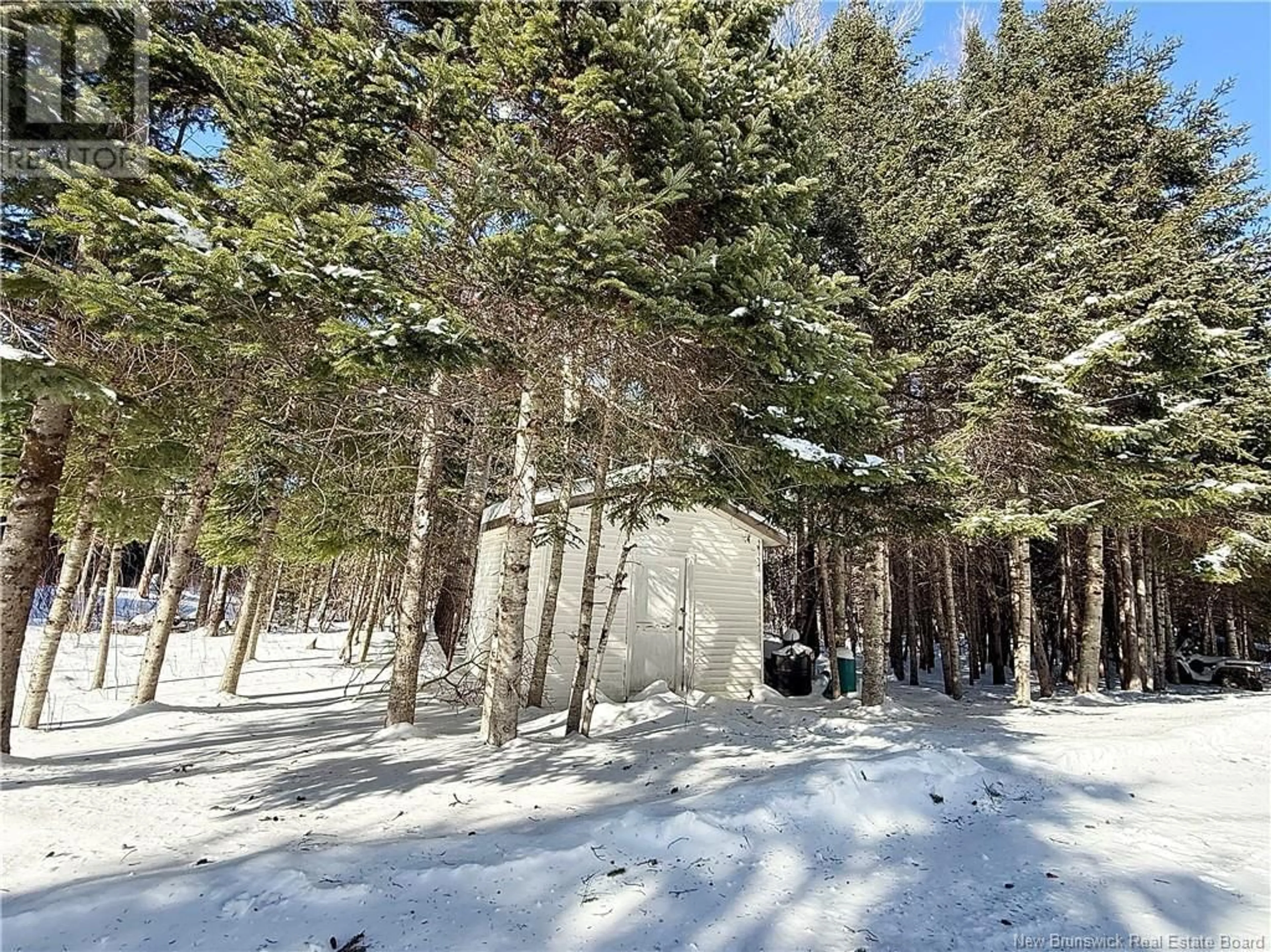 crea/IMG-NB112966-27940317_4.jpg