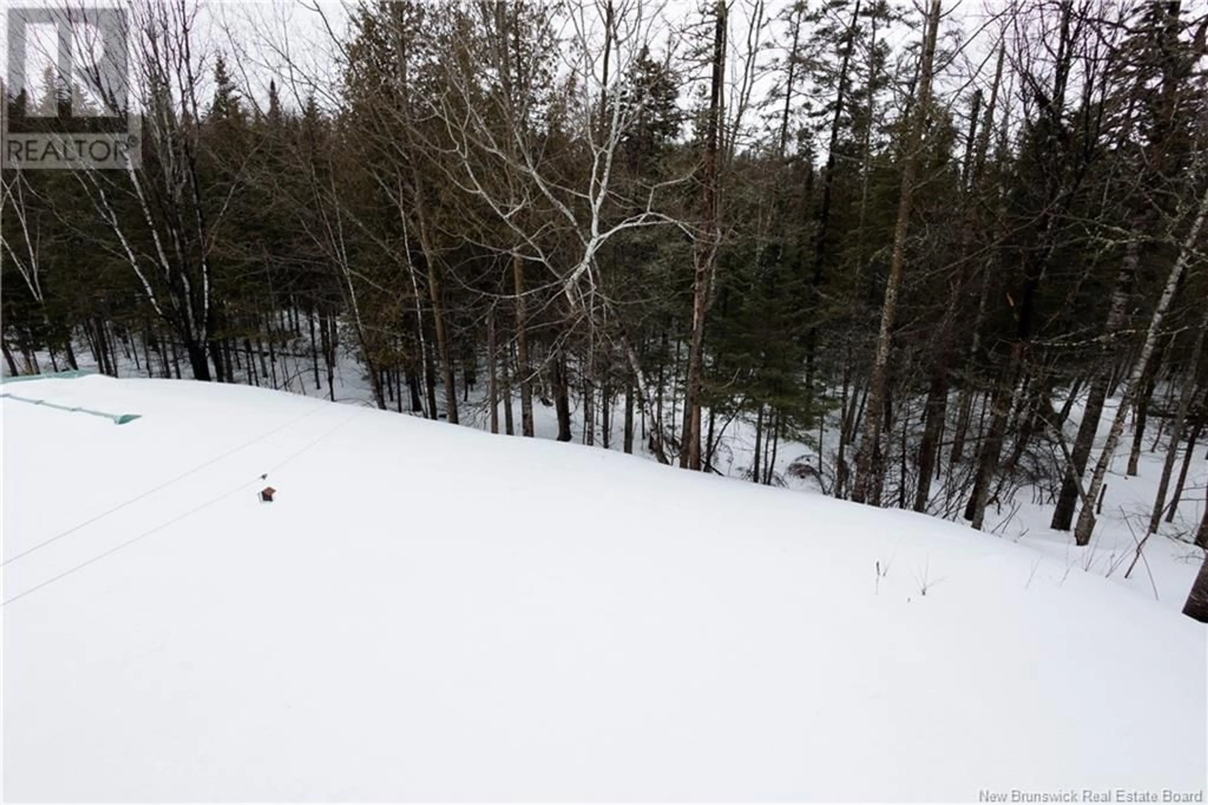 crea/IMG-NB113646-27994145_4.jpg