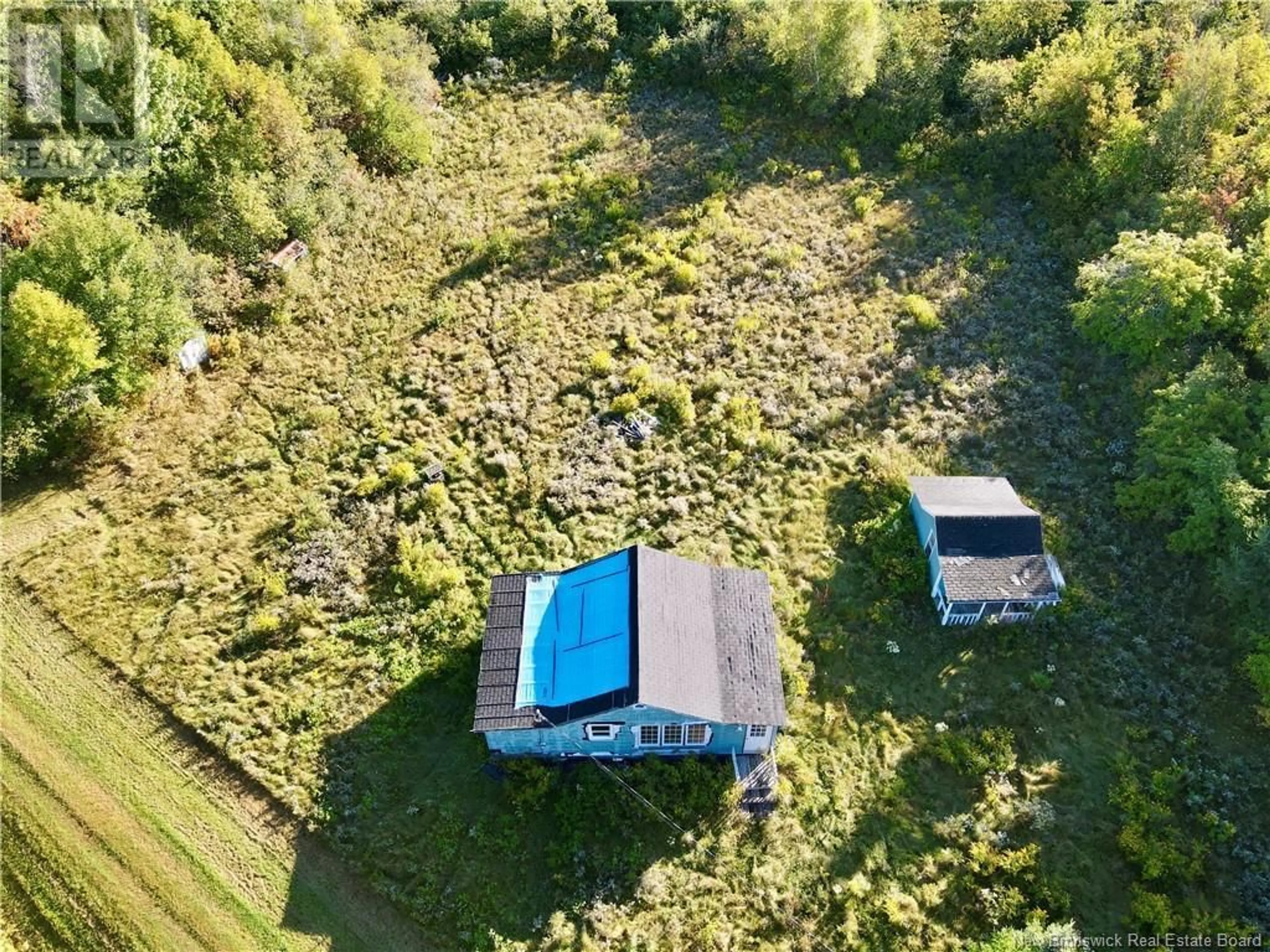 A pic from outside/outdoor area/front of a property/back of a property/a pic from drone, forest/trees view for 4424 ROUTE 530, Grande-Digue New Brunswick E4R5P9