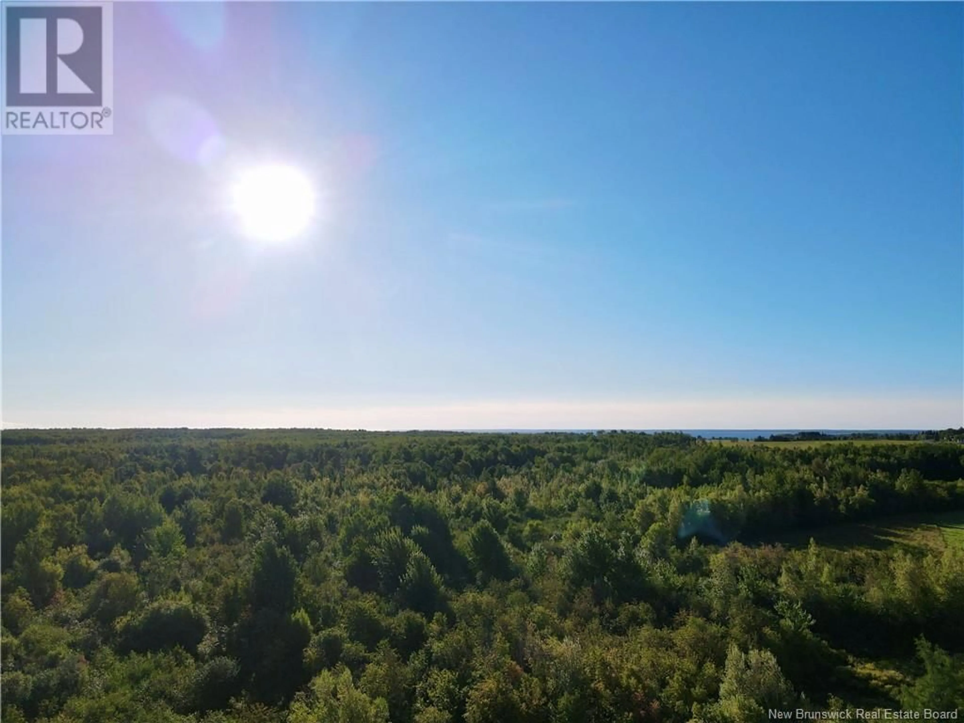 A pic from outside/outdoor area/front of a property/back of a property/a pic from drone, forest/trees view for 4424 ROUTE 530, Grande-Digue New Brunswick E4R5P9