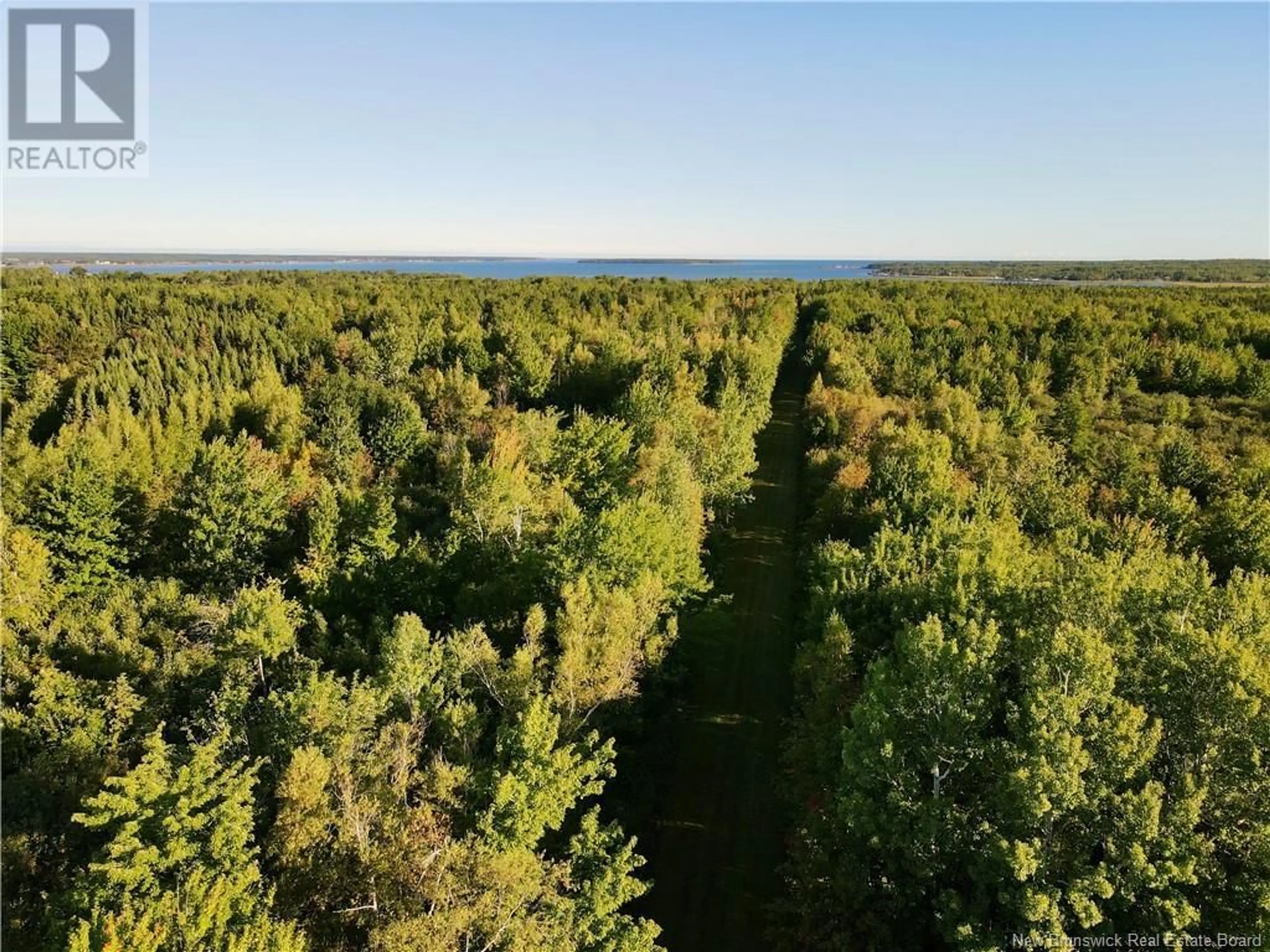 A pic from outside/outdoor area/front of a property/back of a property/a pic from drone, forest/trees view for 4424 ROUTE 530, Grande-Digue New Brunswick E4R5P9