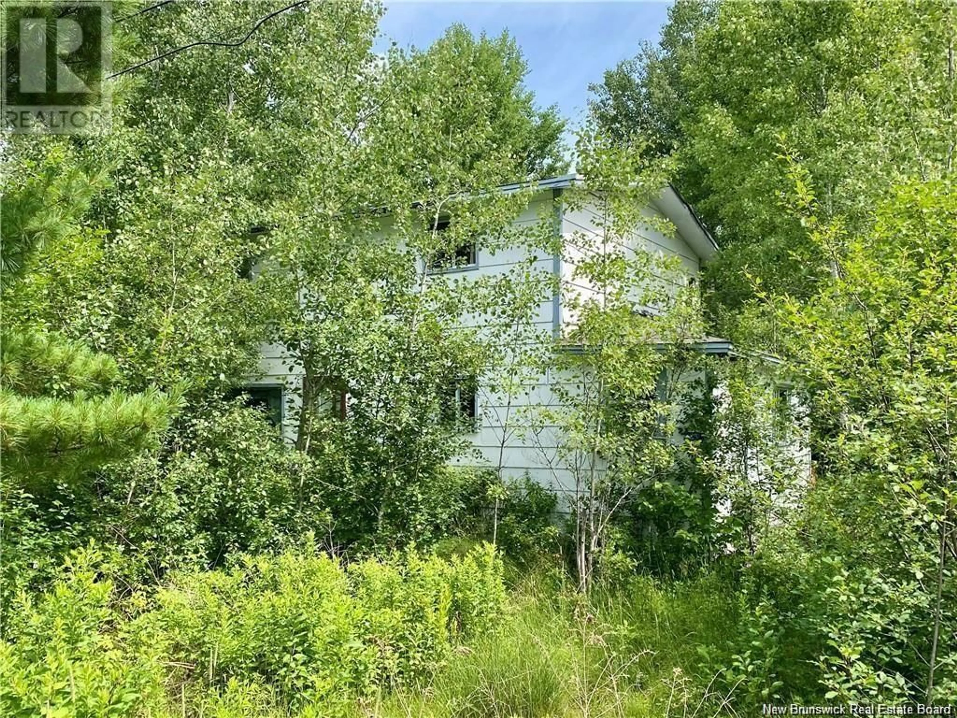 A pic from outside/outdoor area/front of a property/back of a property/a pic from drone, forest/trees view for 12 KEENAN'S FOOTBRIDGE ROAD, Keenans New Brunswick E9B2G1