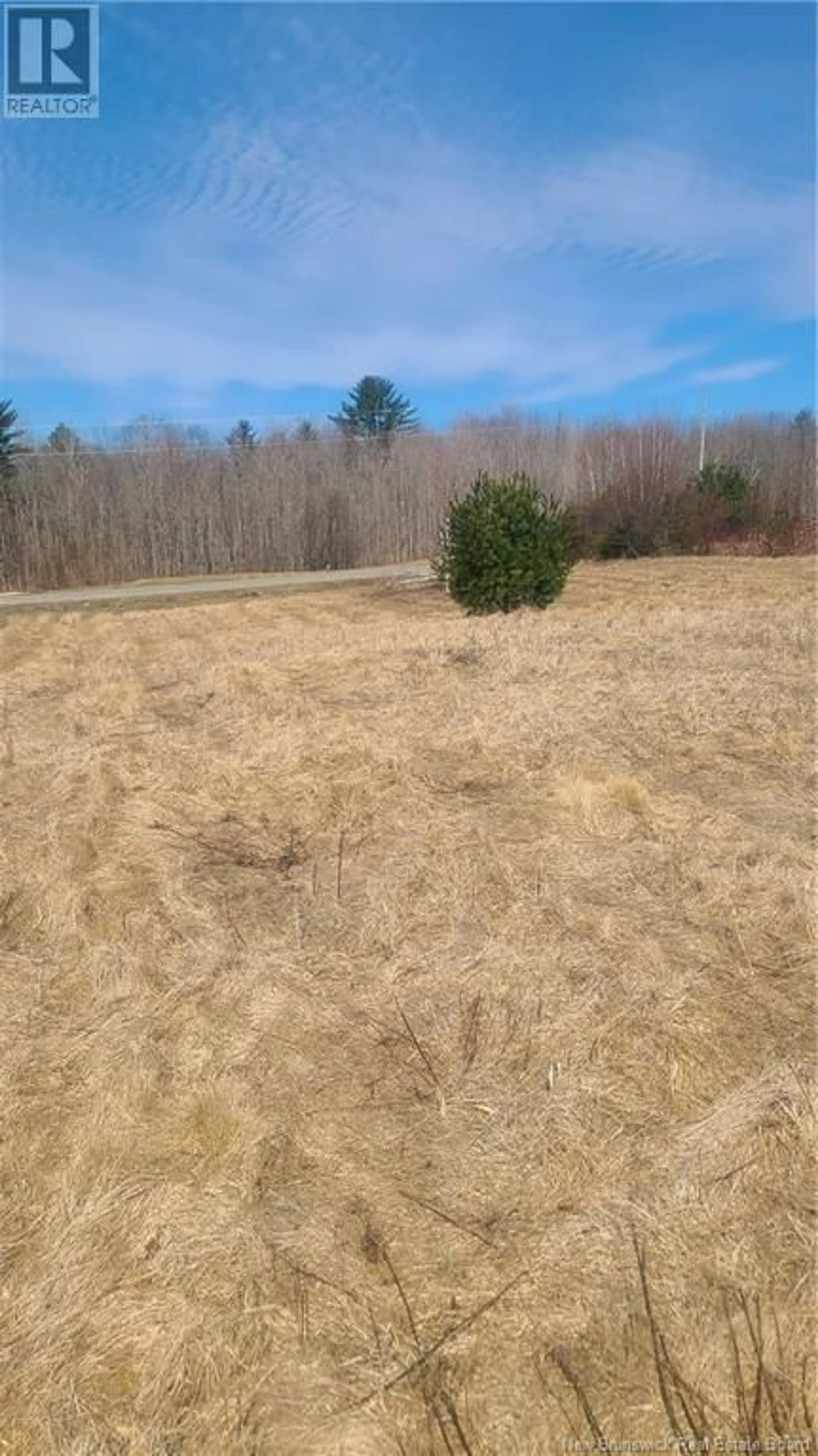 A pic from outside/outdoor area/front of a property/back of a property/a pic from drone, forest/trees view for 1294 105 ROUTE ROUTE, Southampton New Brunswick E6G1L5