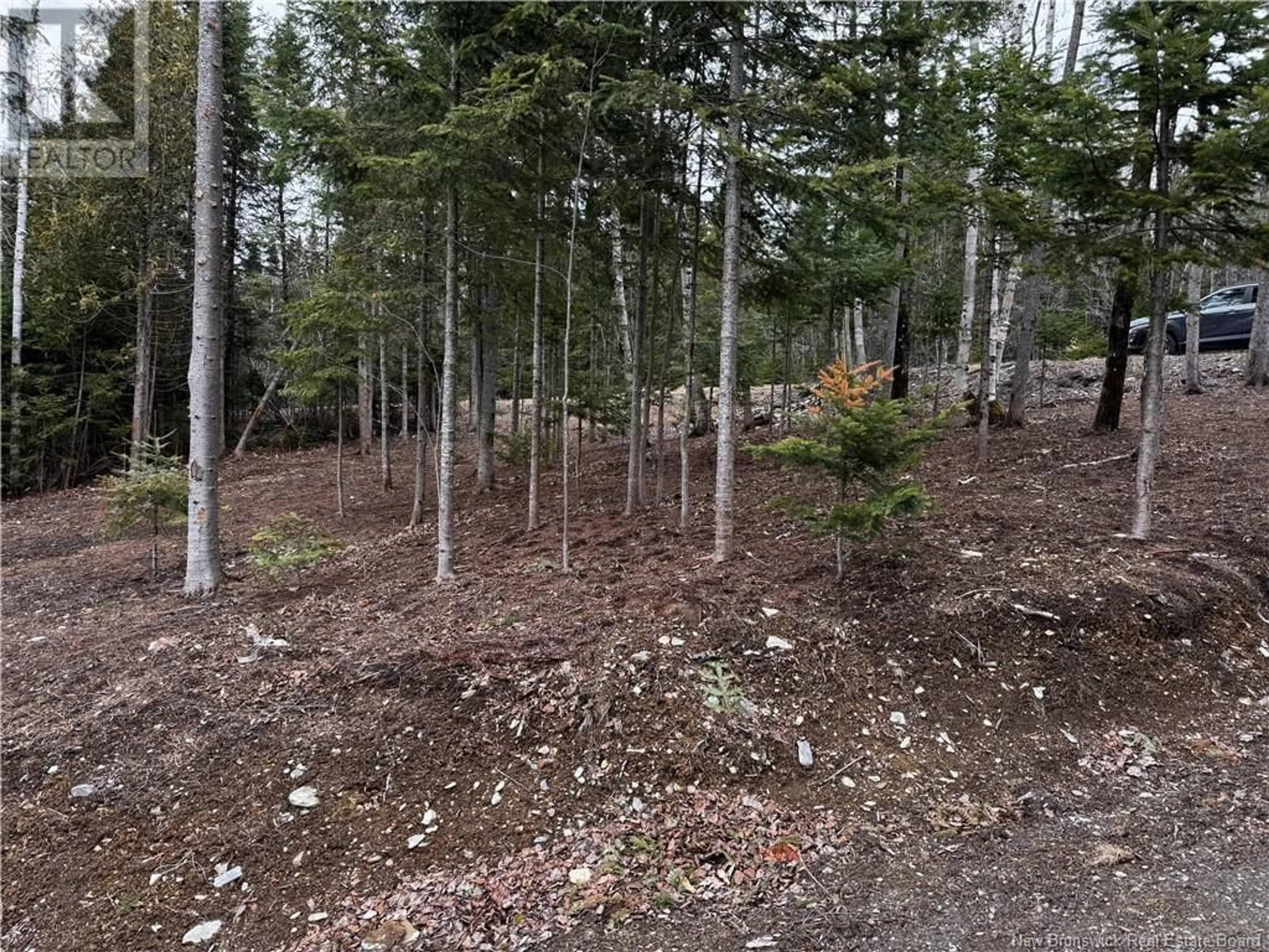 A pic from outside/outdoor area/front of a property/back of a property/a pic from drone, forest/trees view for 988 ROUTE 215, Saint-François-de-Madawaska New Brunswick E7A1G9