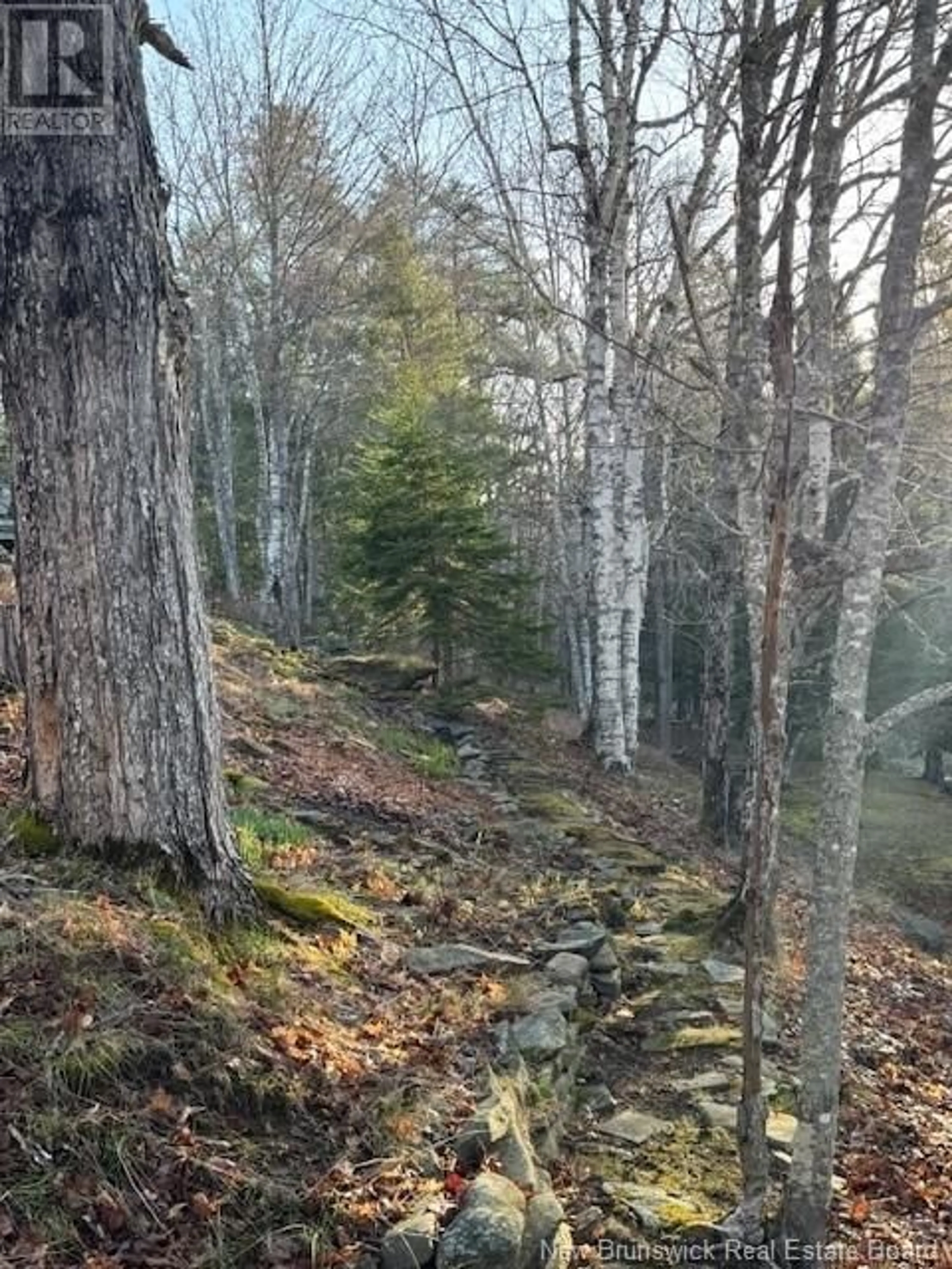 Blurry image for 93 FREEDOM LANE, Pollett River New Brunswick E4Z0G6