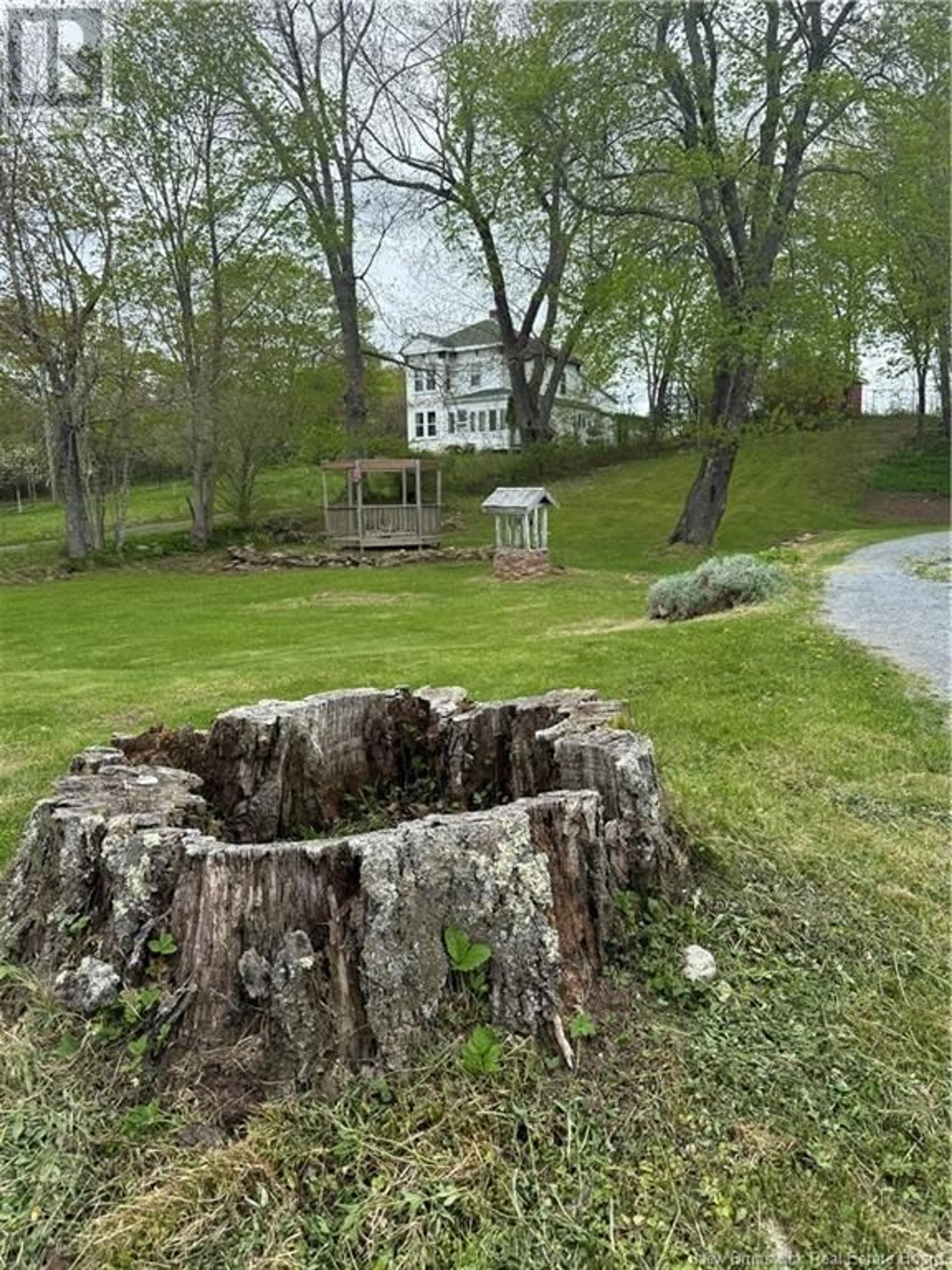 Patio, forest/trees view for 17 SOUTH STREET, St George New Brunswick E5C3P6