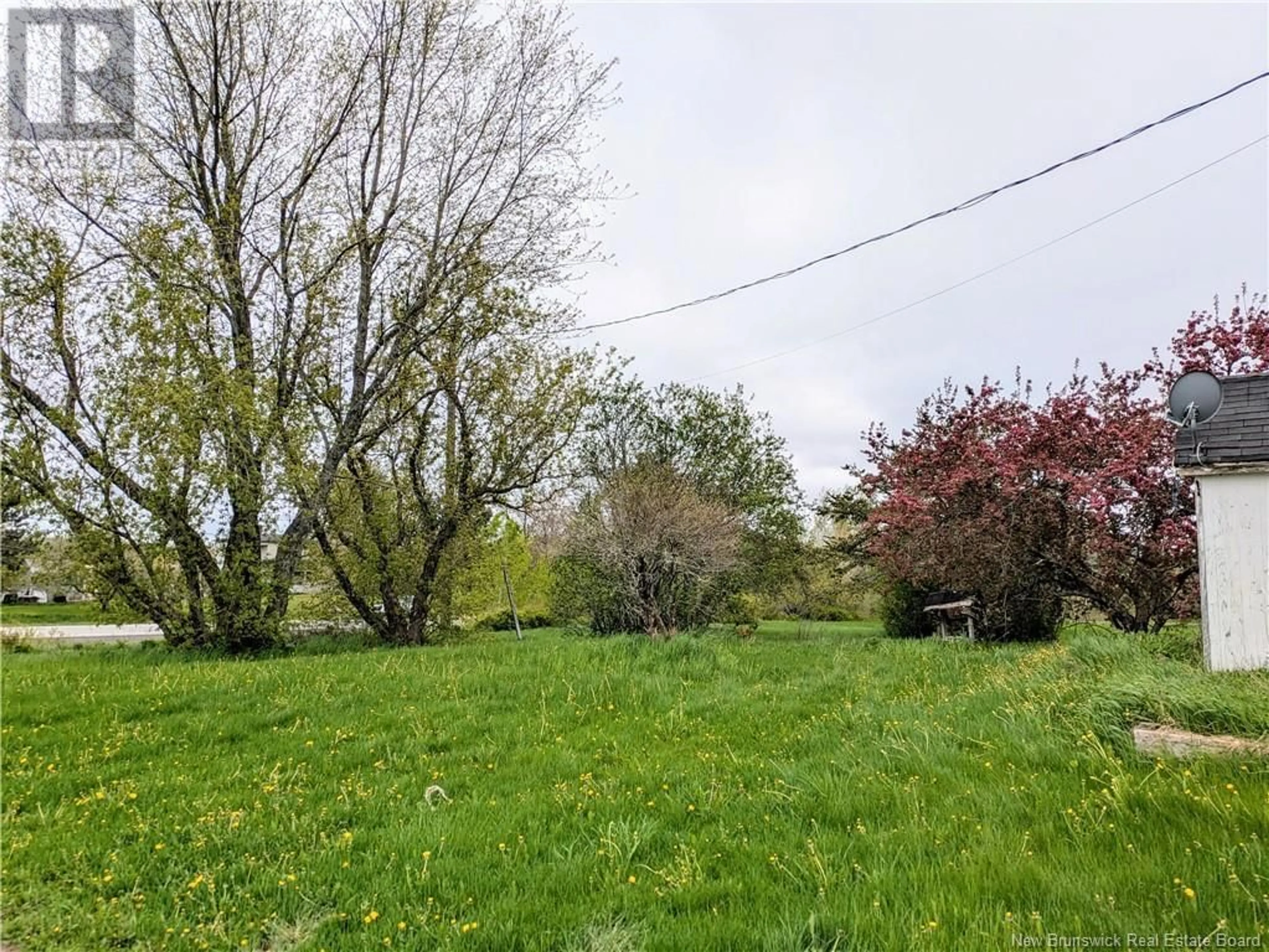 A pic from outside/outdoor area/front of a property/back of a property/a pic from drone, forest/trees view for 4351 ROUTE 106, Petitcodiac New Brunswick E4Z3K2
