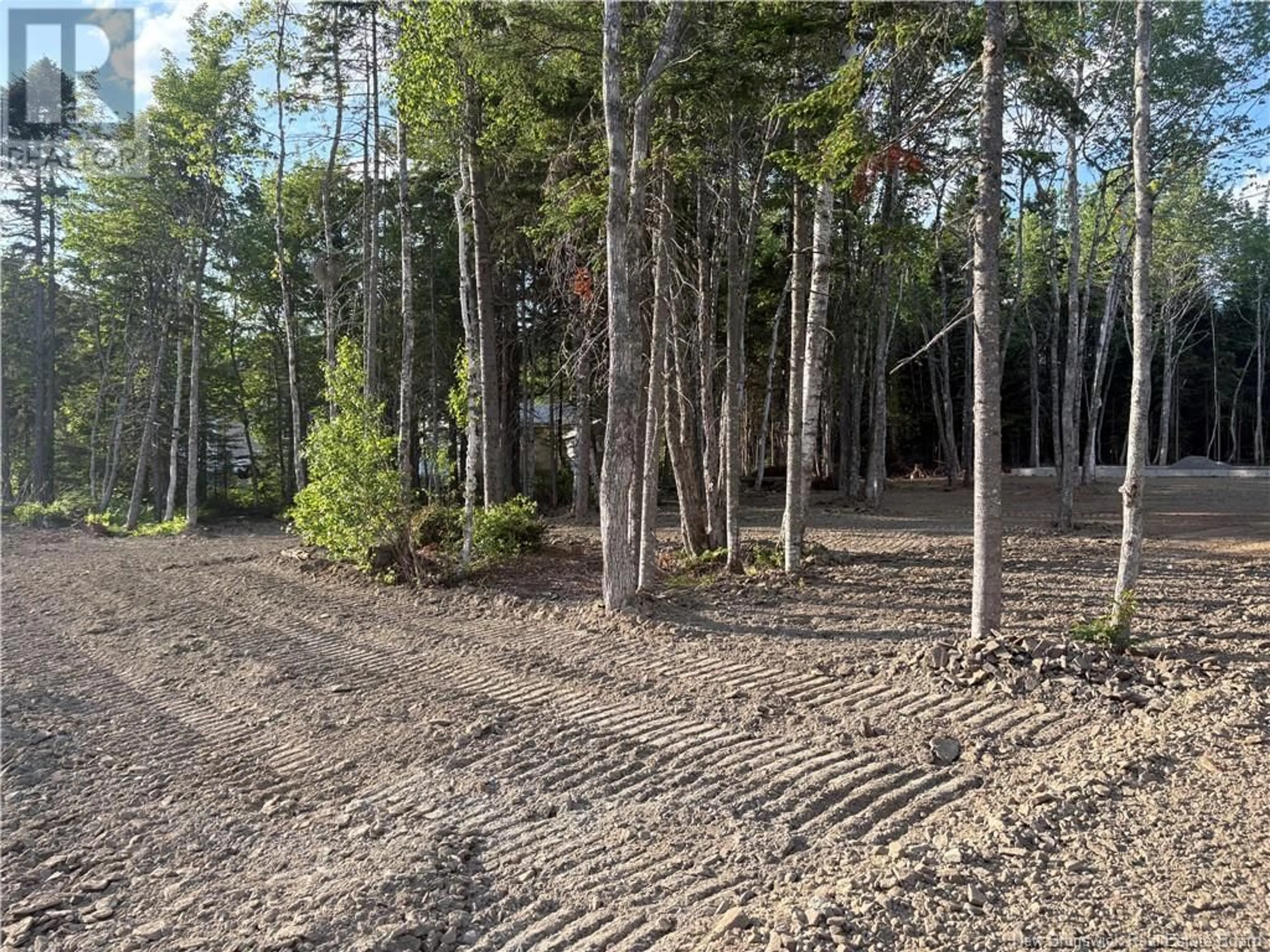 A pic from outside/outdoor area/front of a property/back of a property/a pic from drone, forest/trees view for 15 DAVID ROAD, Galloway New Brunswick E4W0A7