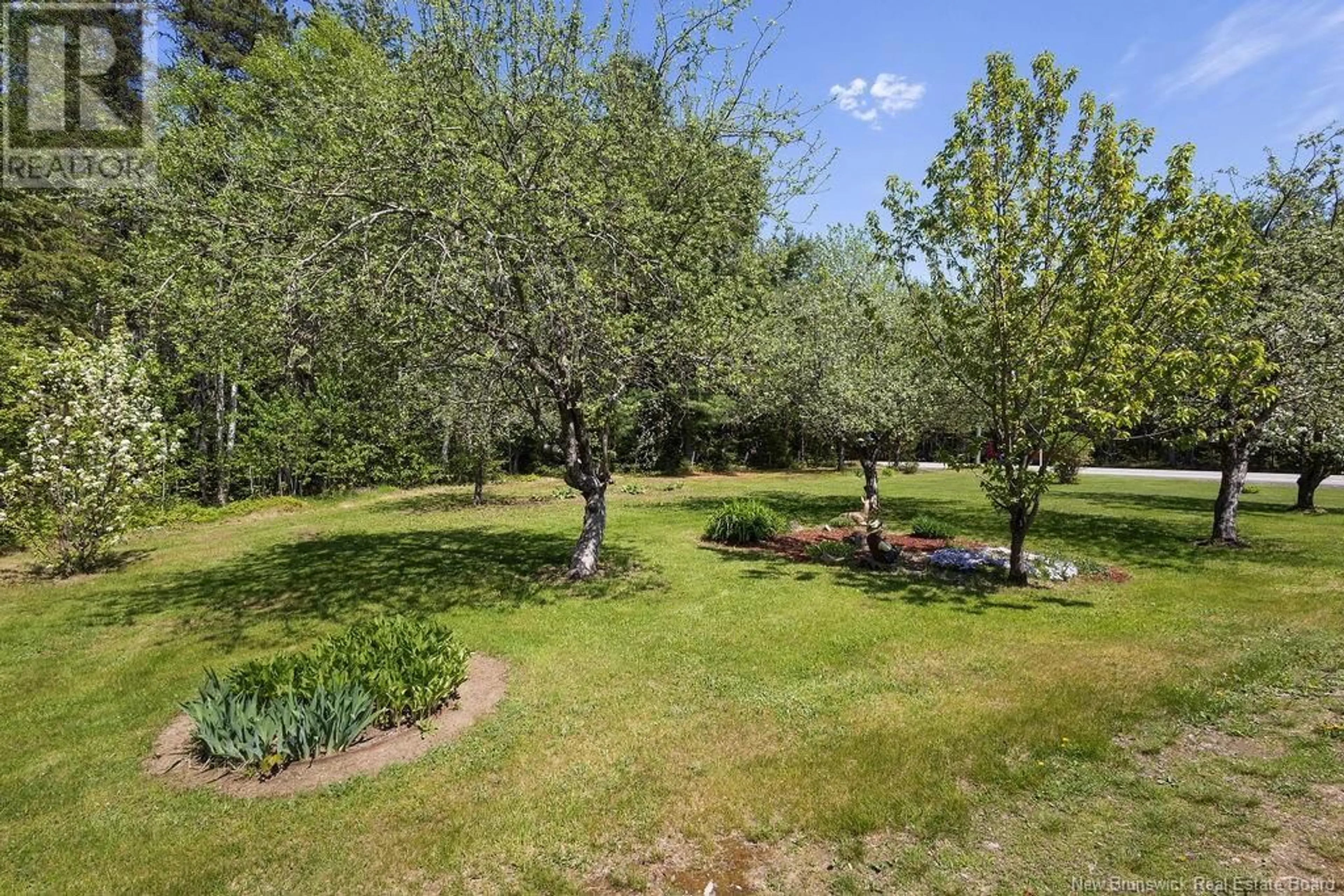 A pic from outside/outdoor area/front of a property/back of a property/a pic from drone, forest/trees view for 1181 WELLINGTON STREET, Miramichi New Brunswick E1N4N7