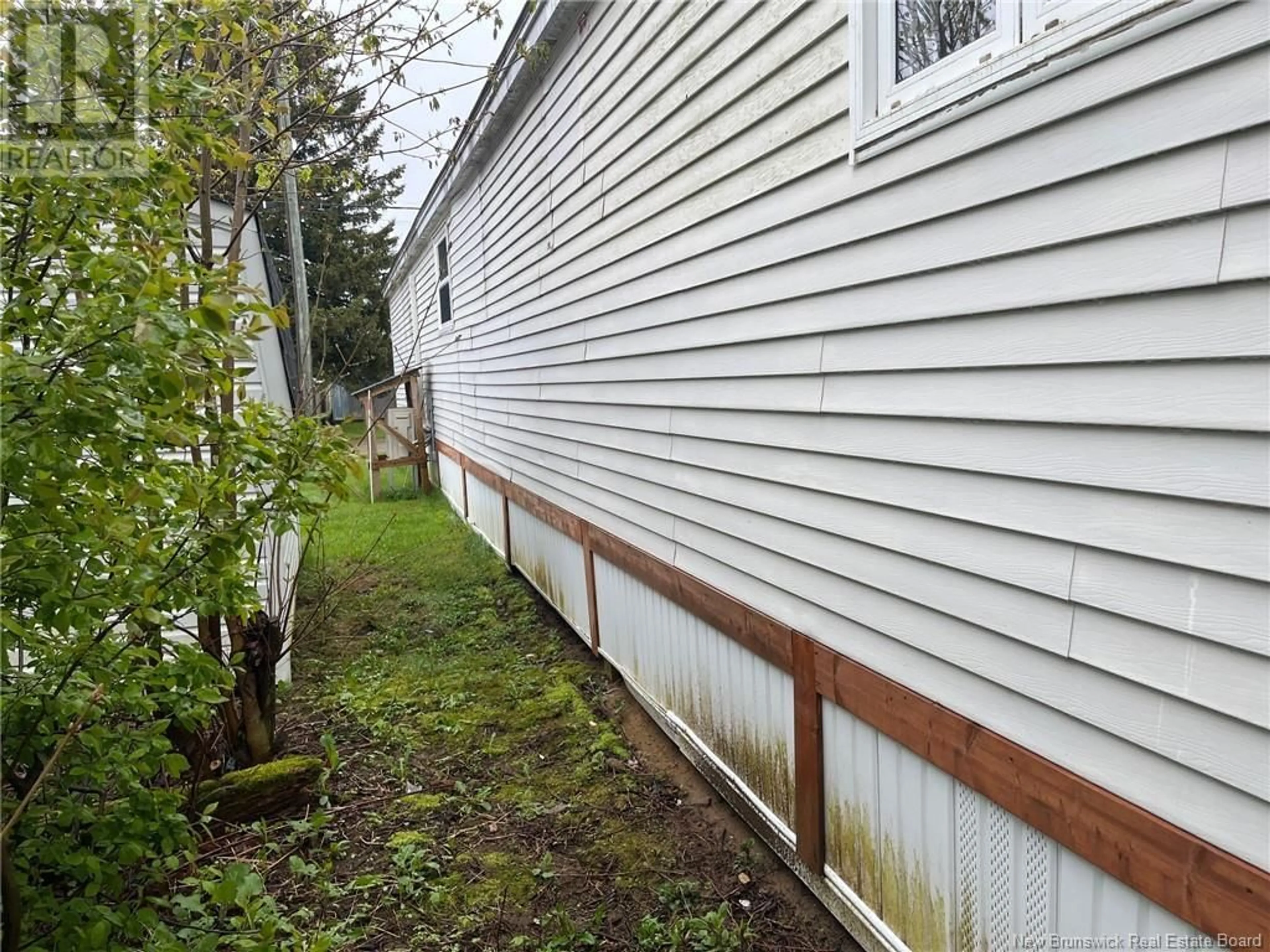 Shed for 29 DOROTHY LANE, Miramichi New Brunswick E1N3Z7