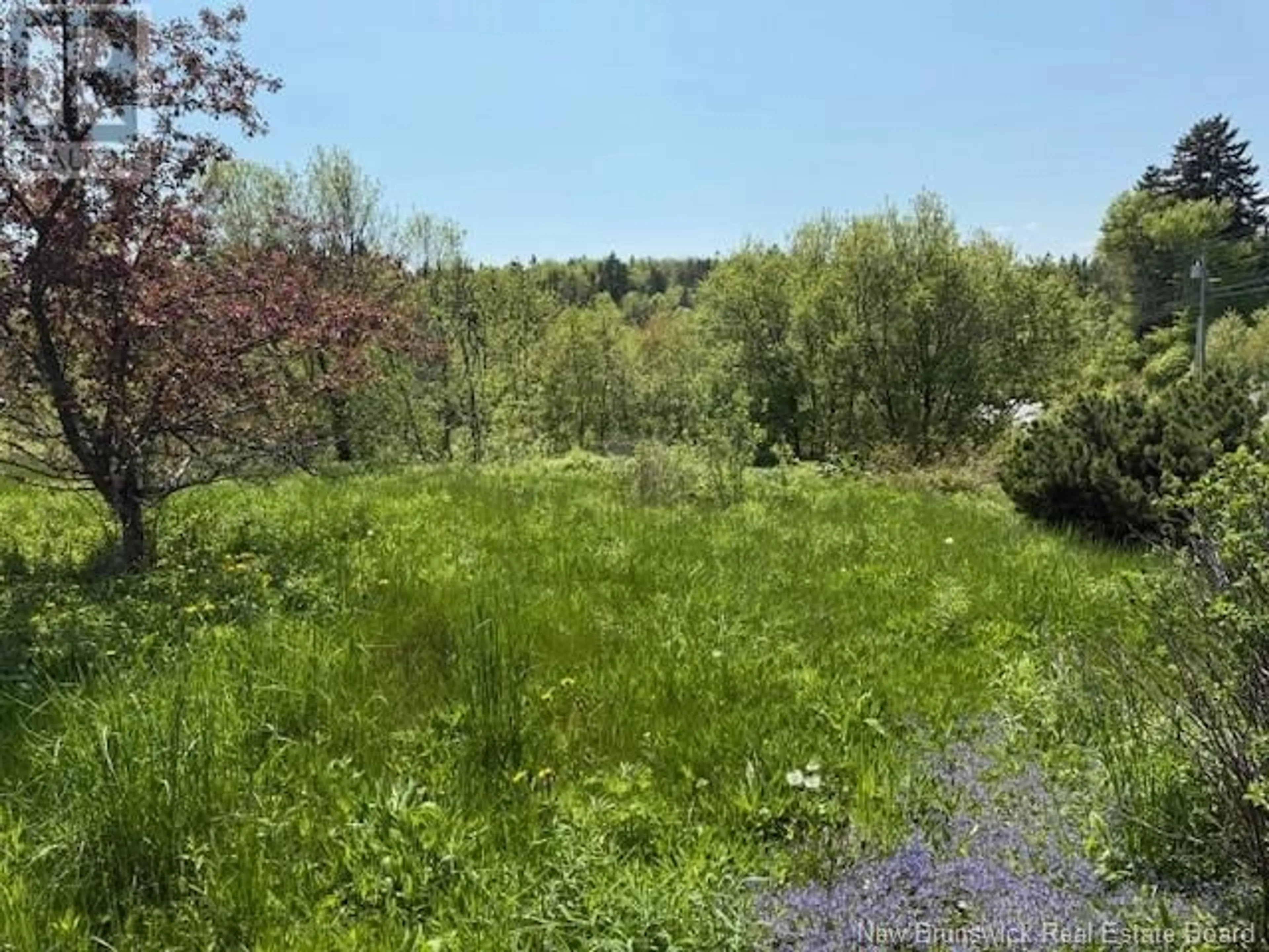 A pic from outside/outdoor area/front of a property/back of a property/a pic from drone, forest/trees view for 18 UPPER GOLDEN GROVE ROAD, Upper Golden Grove New Brunswick E2S2X8