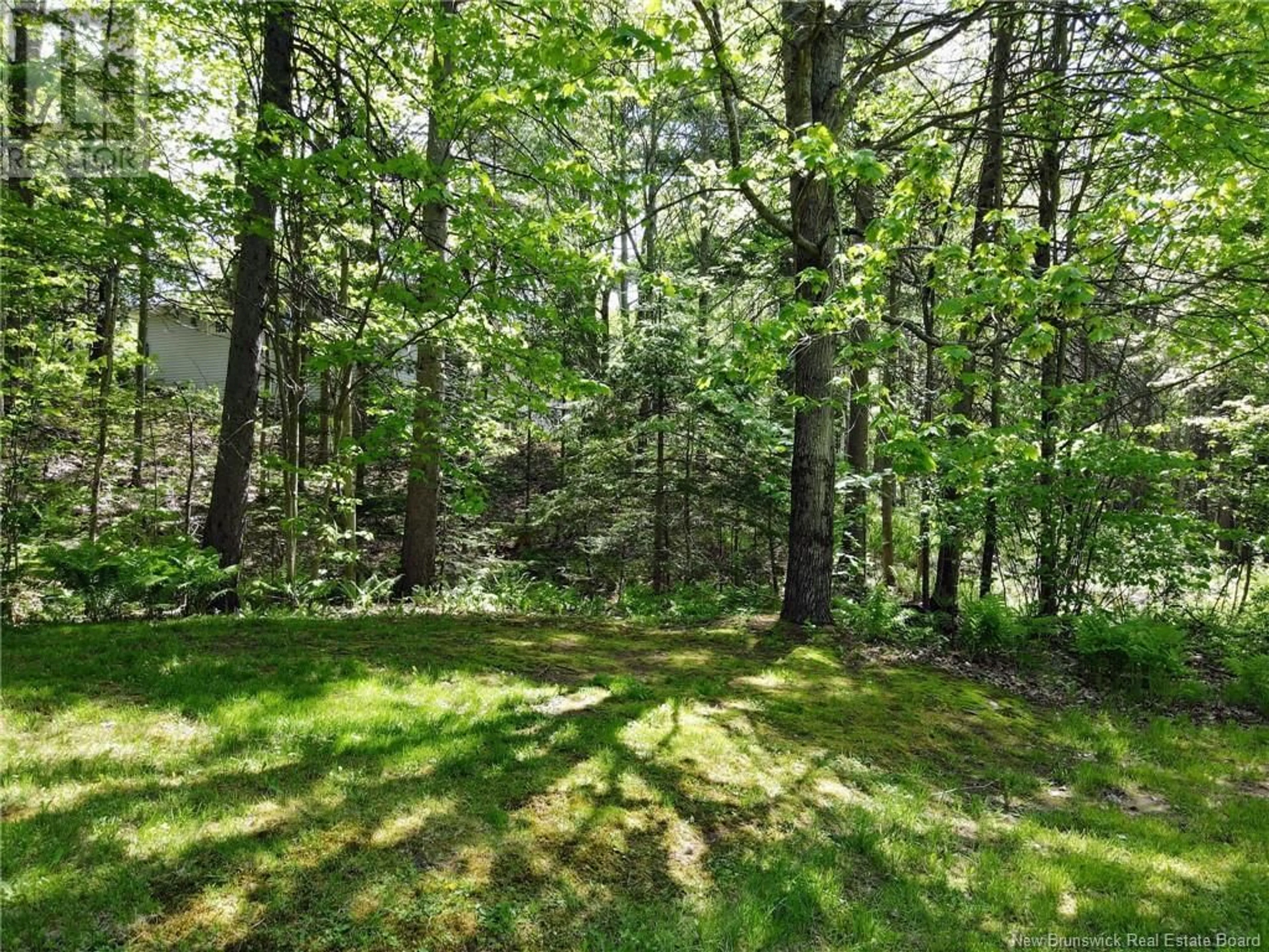 A pic from outside/outdoor area/front of a property/back of a property/a pic from drone, forest/trees view for 270 BESSBOROUGH AVENUE, Moncton New Brunswick E1E4C1