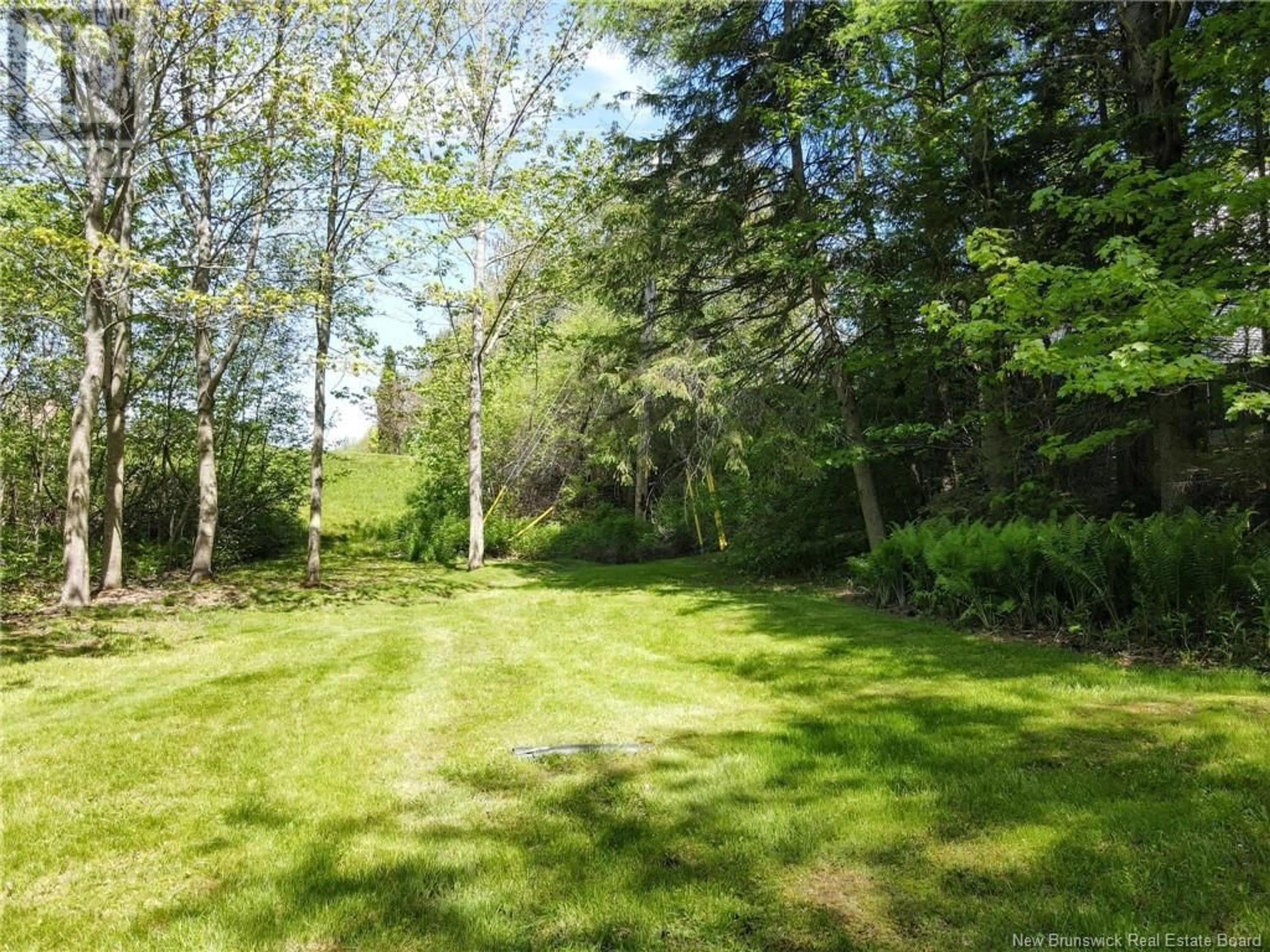 A pic from outside/outdoor area/front of a property/back of a property/a pic from drone, forest/trees view for 270 BESSBOROUGH AVENUE, Moncton New Brunswick E1E4C1