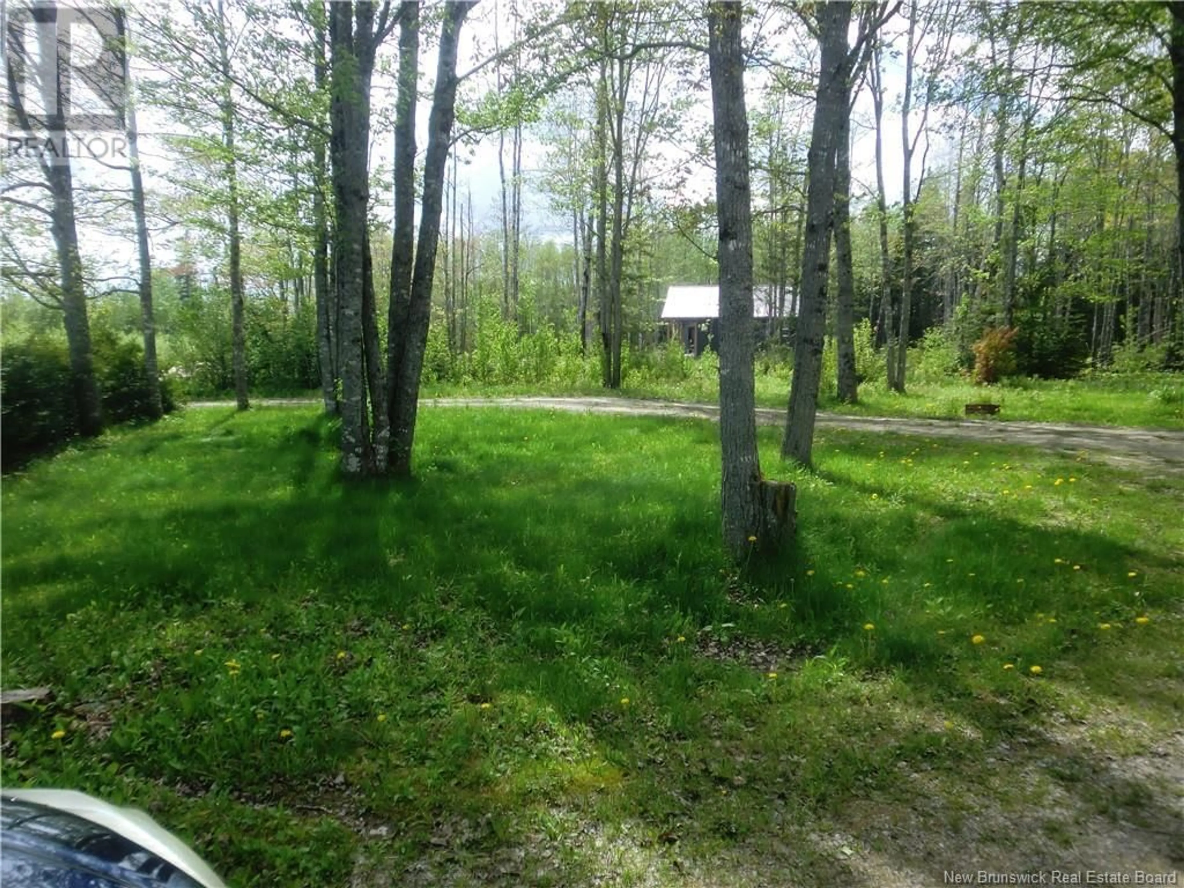 A pic from outside/outdoor area/front of a property/back of a property/a pic from drone, forest/trees view for 16 CARSON ROAD, Havelock New Brunswick E4Z0A5