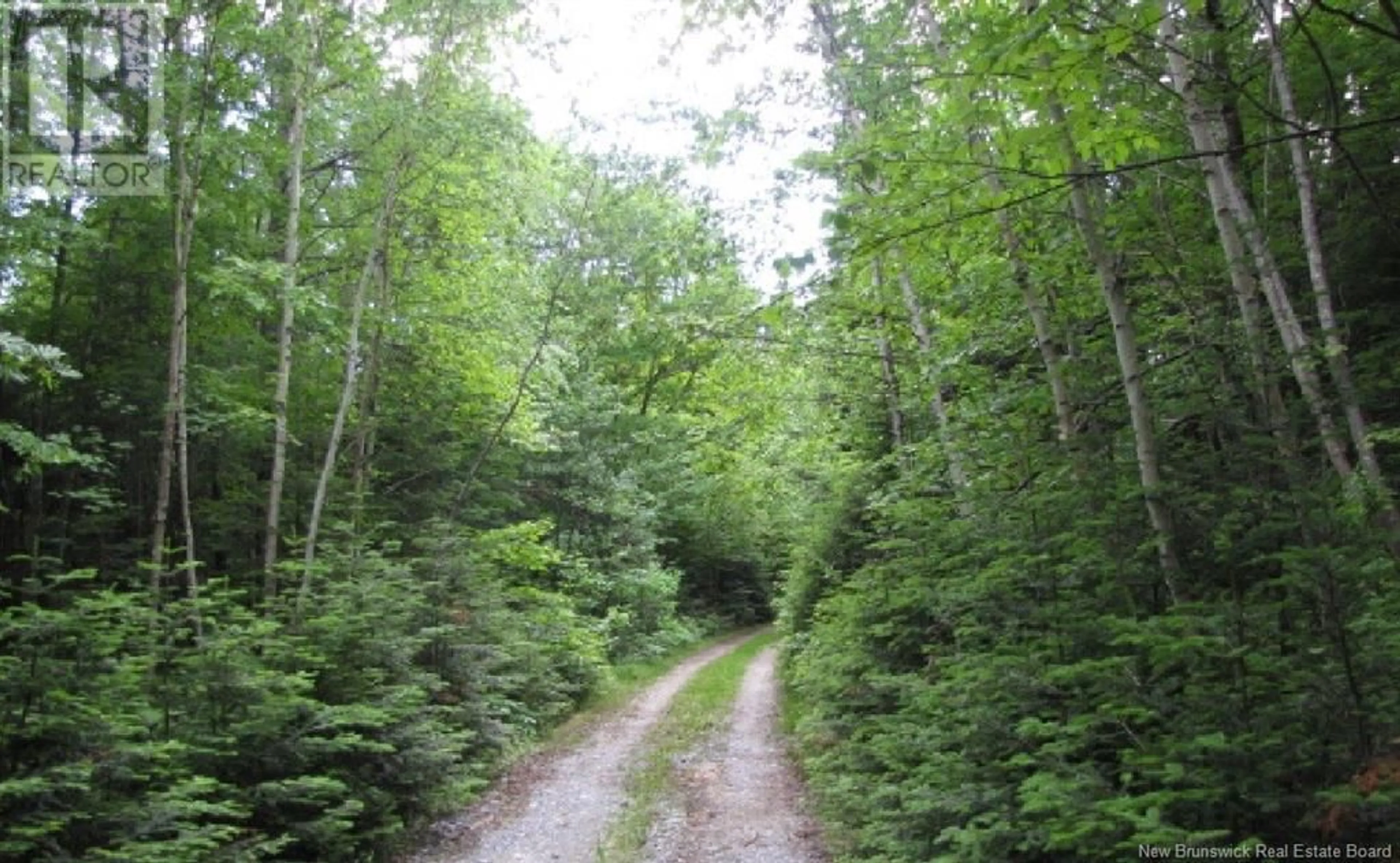 Blurry image for 327 MAPLE GROVE ROAD, Maple Grove New Brunswick E6B2B5