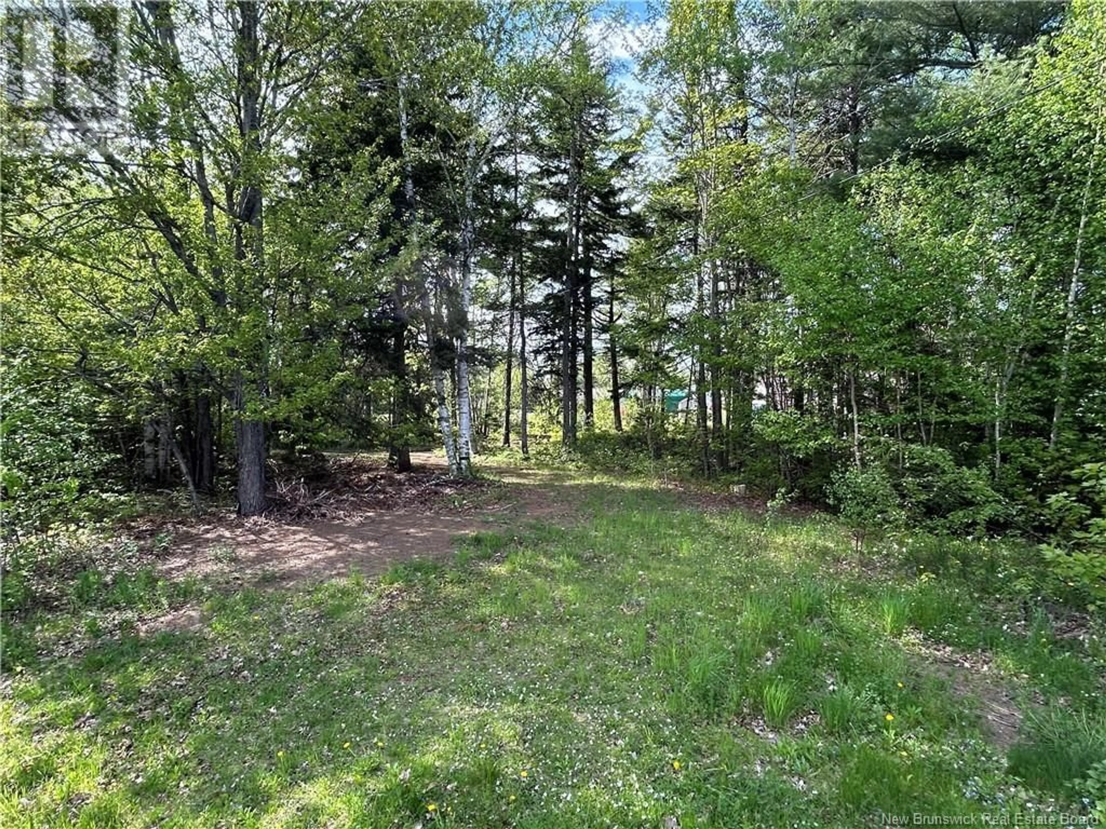 A pic from outside/outdoor area/front of a property/back of a property/a pic from drone, forest/trees view for 5 LAKESIDE DRIVE, Miramichi New Brunswick E1N3G6