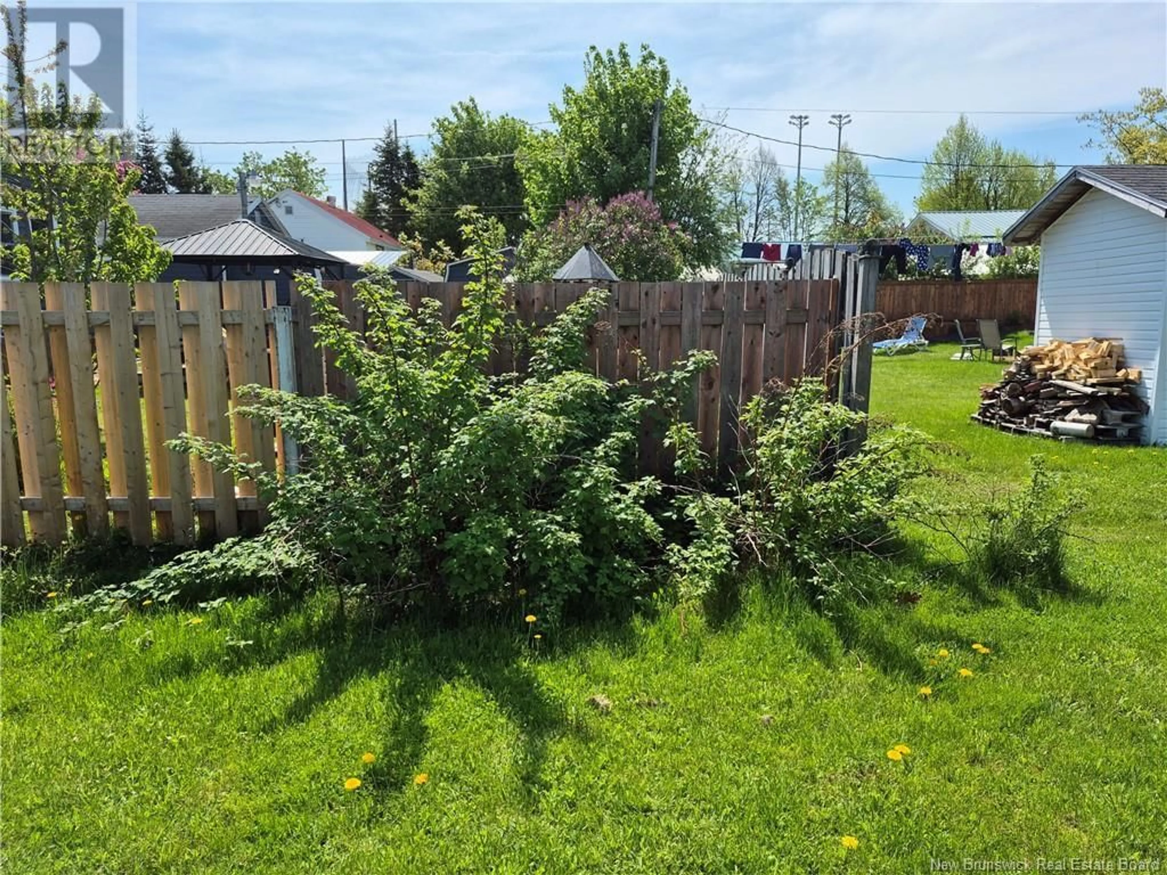 Shed for 66 JOHN STREET, Miramichi New Brunswick E1N2X5