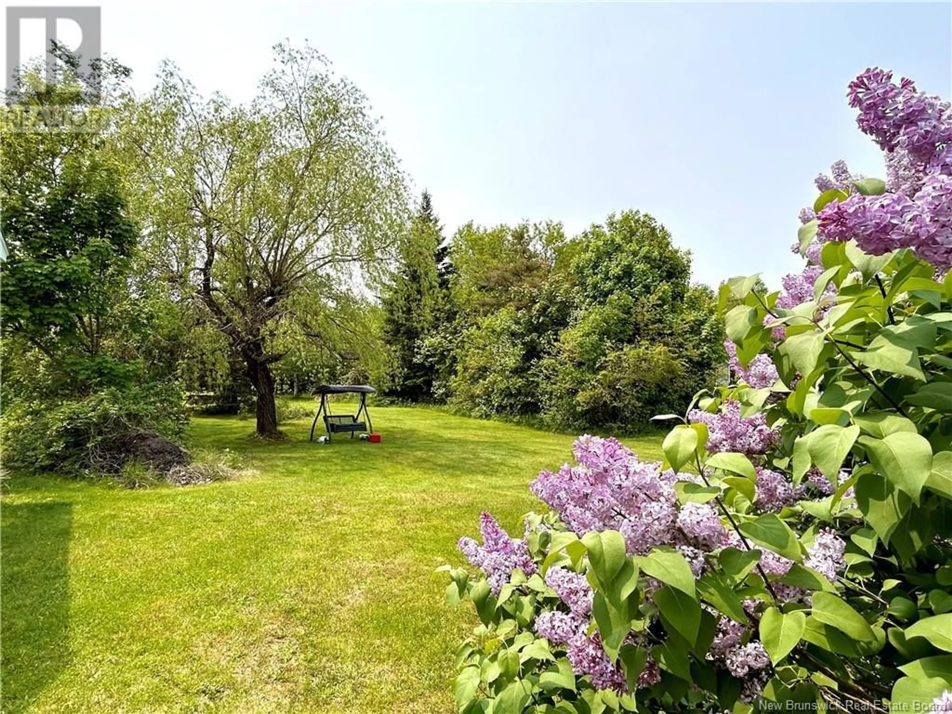 A pic from outside/outdoor area/front of a property/back of a property/a pic from drone, forest/trees view for 56 MCINTOSH STREET, Miramichi New Brunswick E1N2B3