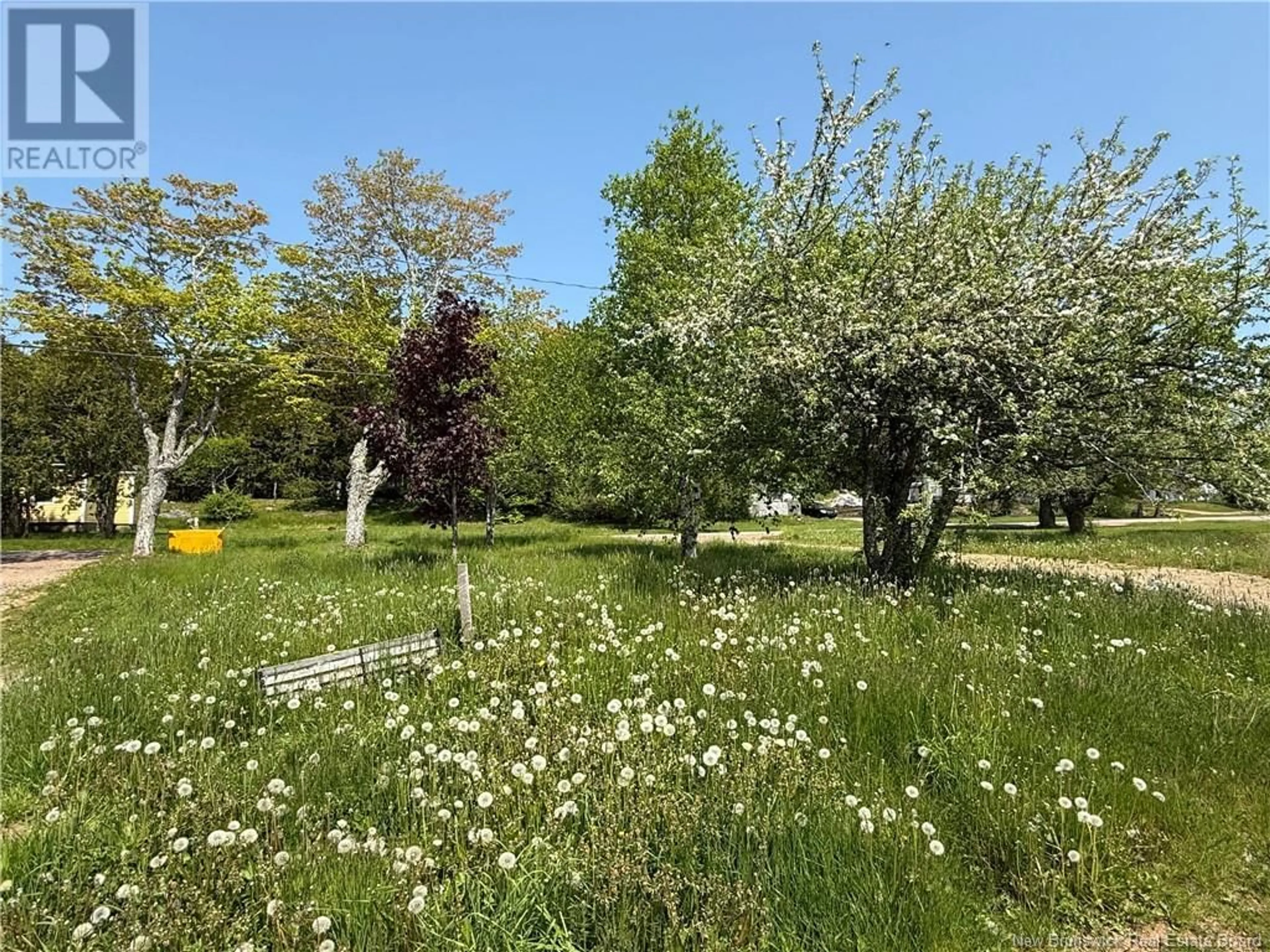 A pic from outside/outdoor area/front of a property/back of a property/a pic from drone, forest/trees view for 73 WOODLAWN ROAD, Dorchester New Brunswick E4K3A7