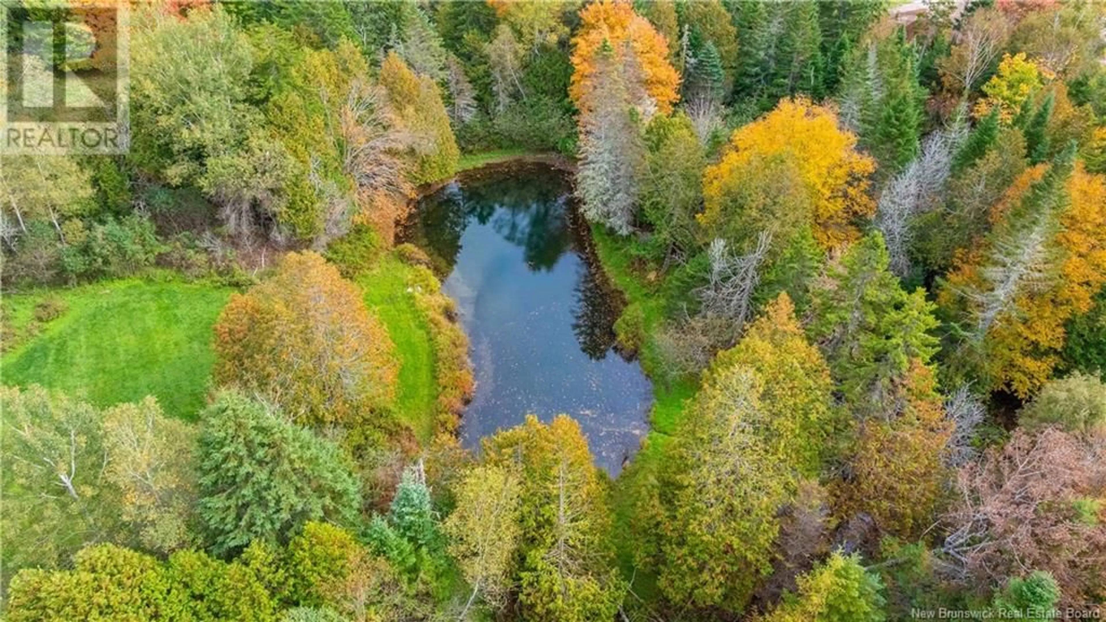 A pic from outside/outdoor area/front of a property/back of a property/a pic from drone, forest/trees view for 704 HAMPTON ROAD, Quispamsis New Brunswick E2G1E9