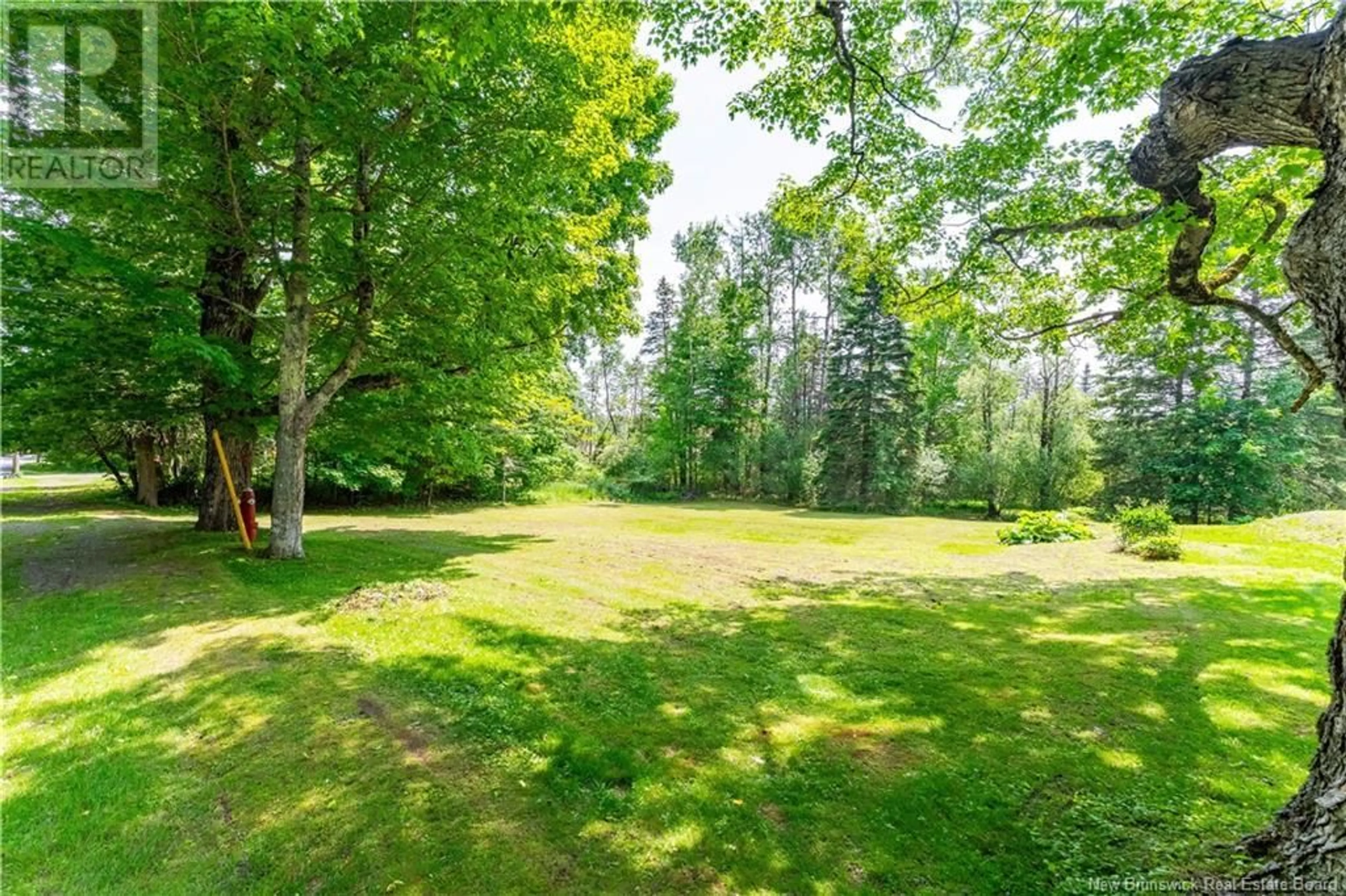 A pic from outside/outdoor area/front of a property/back of a property/a pic from drone, forest/trees view for 46 BOUNDARY STREET, St. Stephen New Brunswick E3L1N8