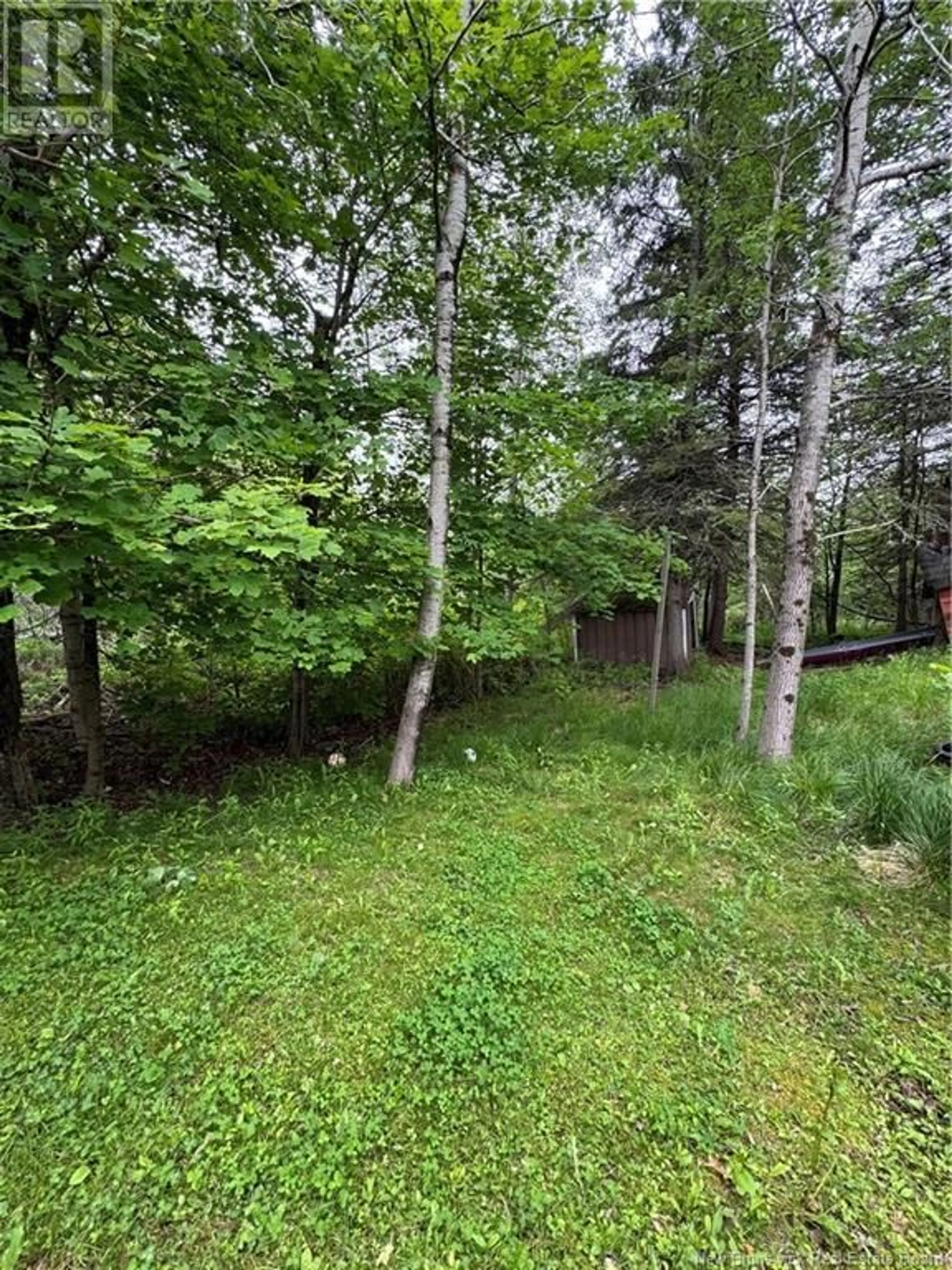 A pic from outside/outdoor area/front of a property/back of a property/a pic from drone, forest/trees view for 87 CANDLEWOOD LANE, Saint John New Brunswick E2K1Z5
