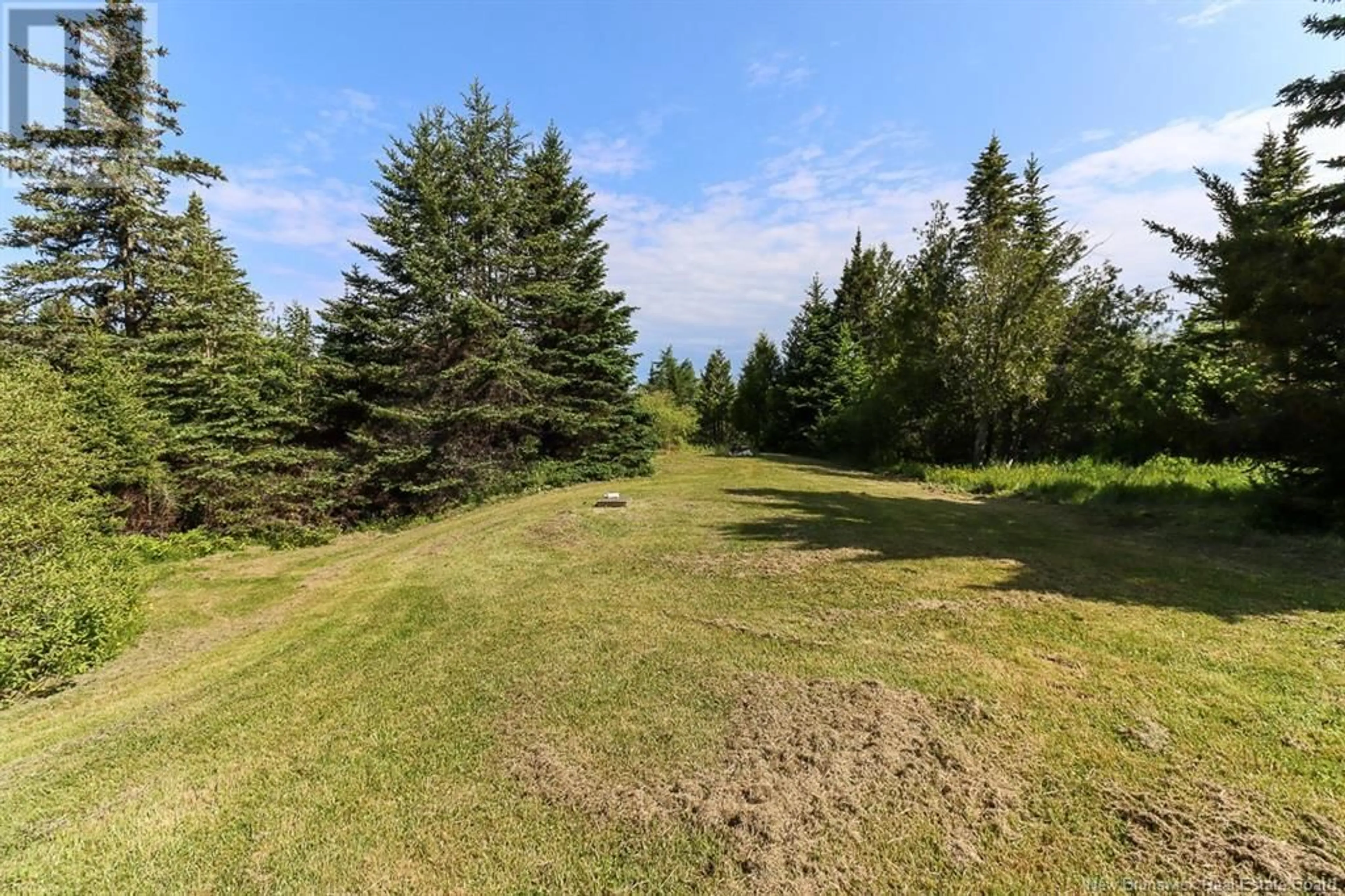 A pic from outside/outdoor area/front of a property/back of a property/a pic from drone, forest/trees view for 1750 LORNEVILLE ROAD, Saint John New Brunswick E2M7K3