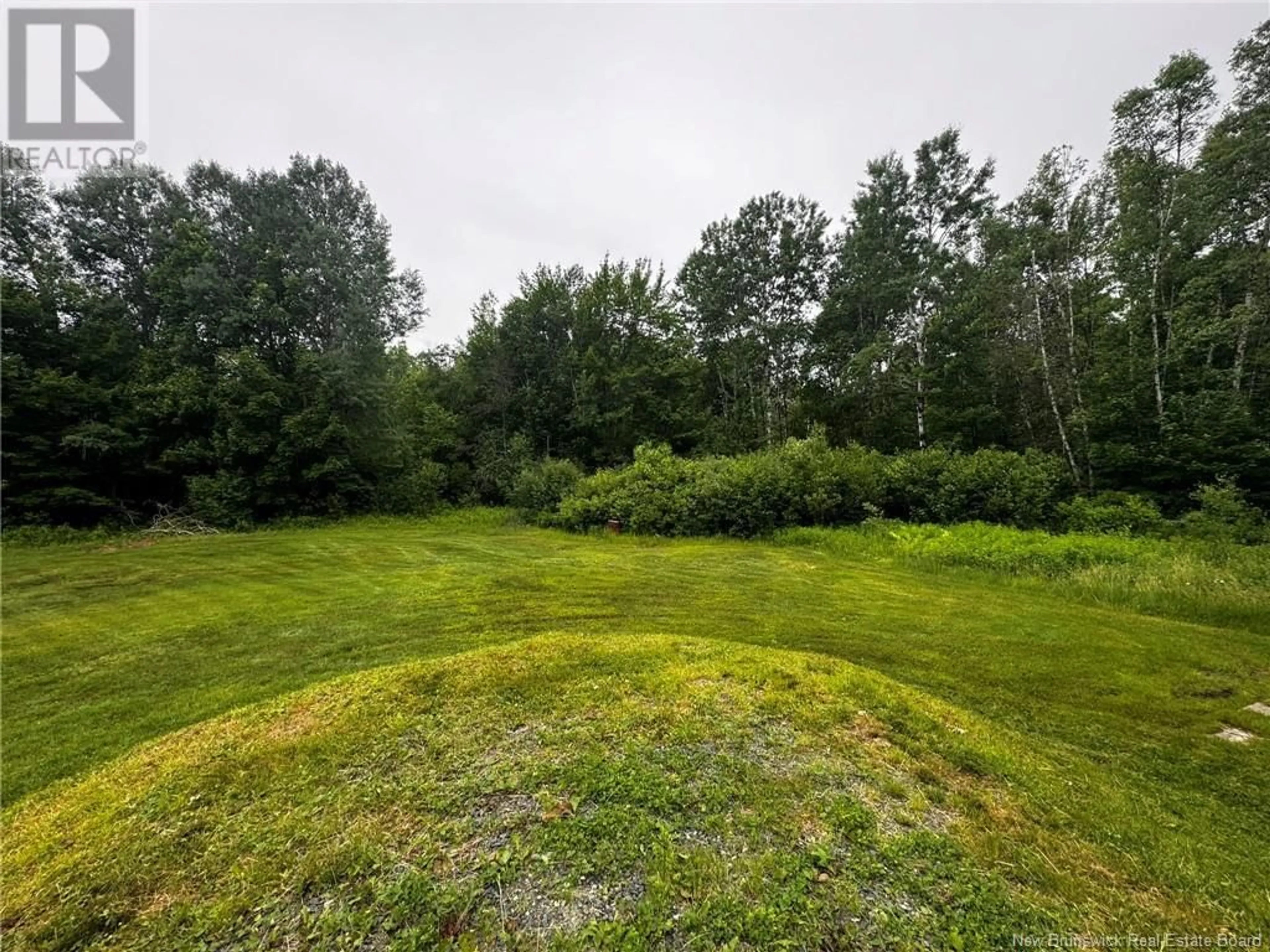 A pic from outside/outdoor area/front of a property/back of a property/a pic from drone, forest/trees view for 1631 HWY 118, White Rapids New Brunswick E9B1A5