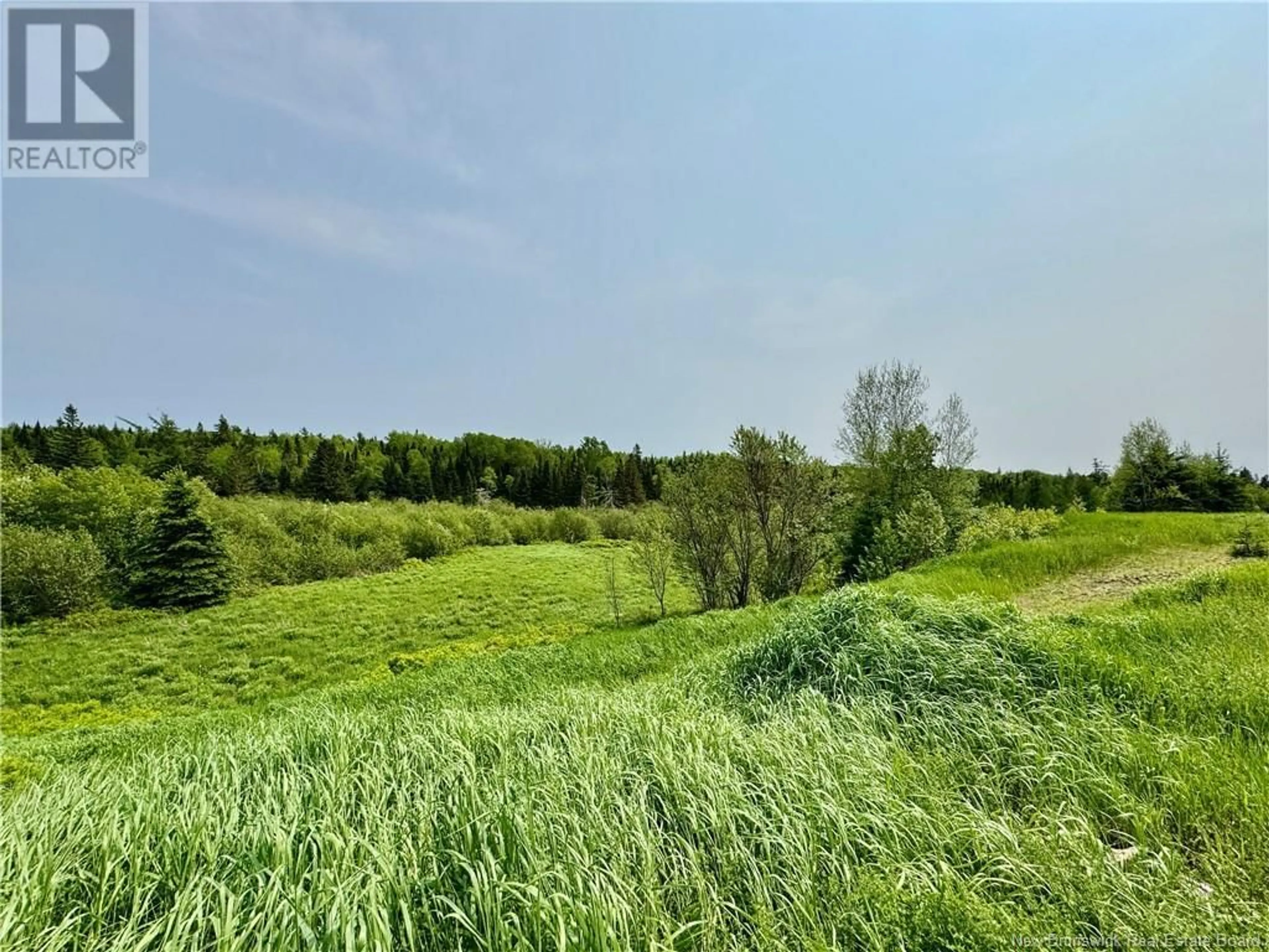 A pic from outside/outdoor area/front of a property/back of a property/a pic from drone, forest/trees view for 2482 ROUTE 880, Head Of Millstream New Brunswick E4G1P9