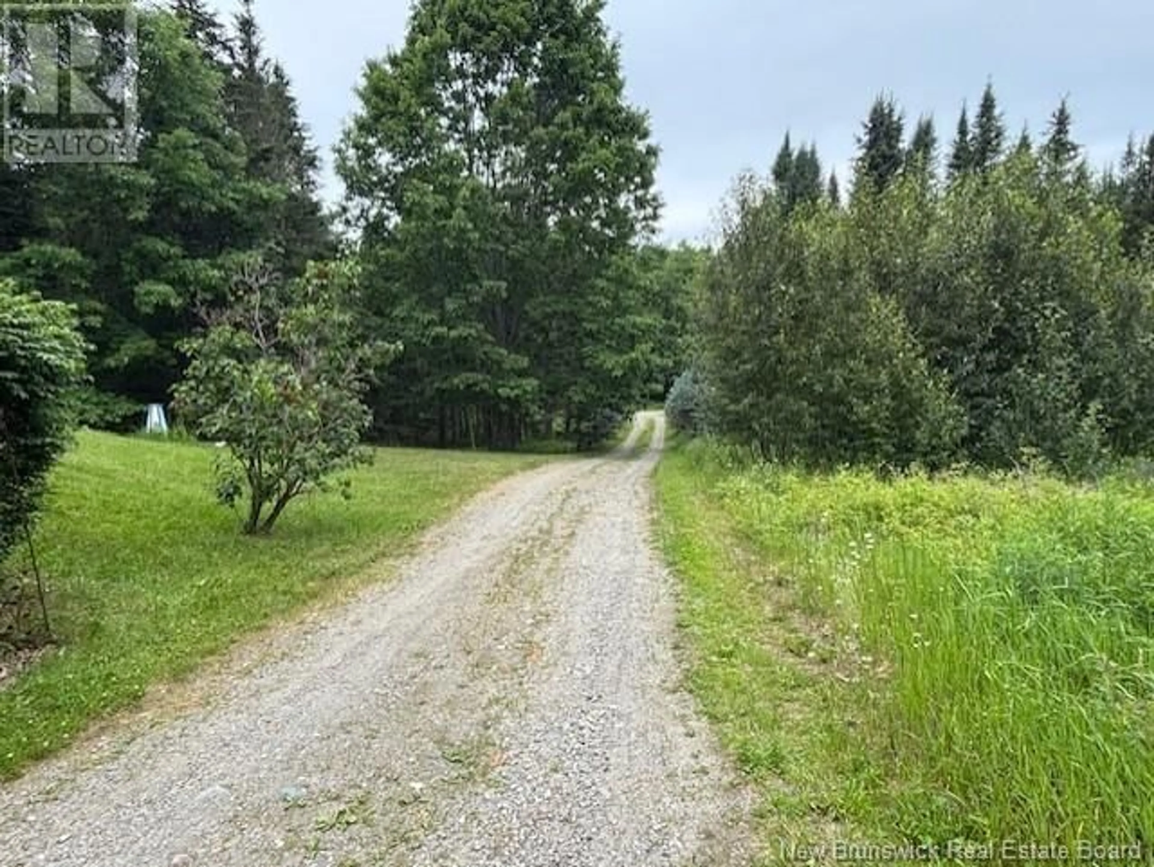 A pic from outside/outdoor area/front of a property/back of a property/a pic from drone, forest/trees view for 48 MCGEACHY LANE, Oak Haven New Brunswick E3L3T6
