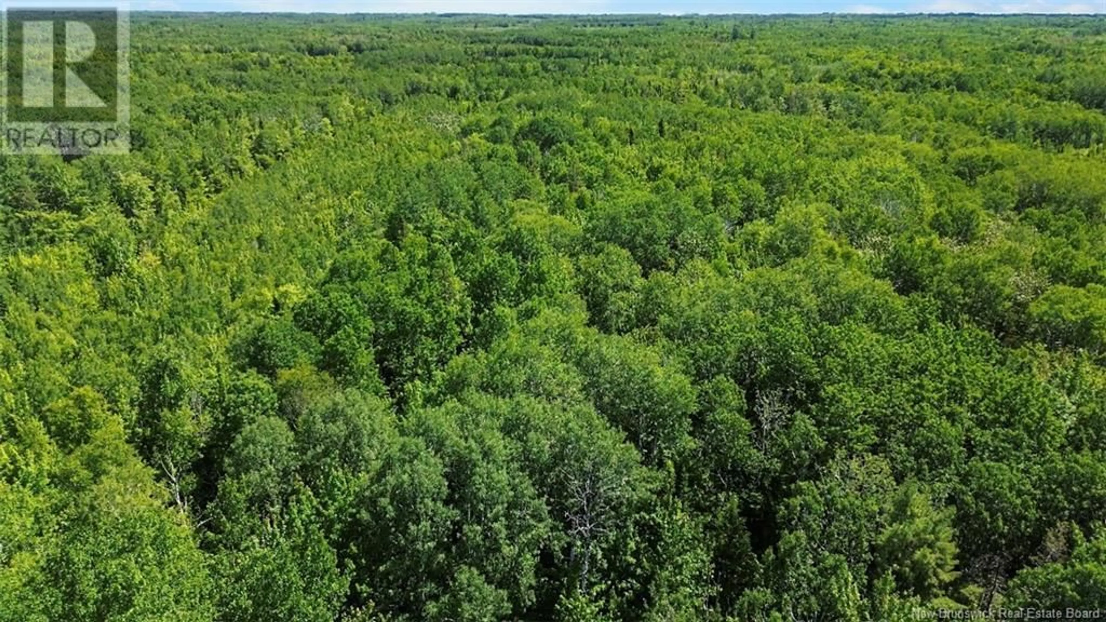 A pic from outside/outdoor area/front of a property/back of a property/a pic from drone, forest/trees view for 3342 ROUTE 315, Laplante New Brunswick E8J2A8