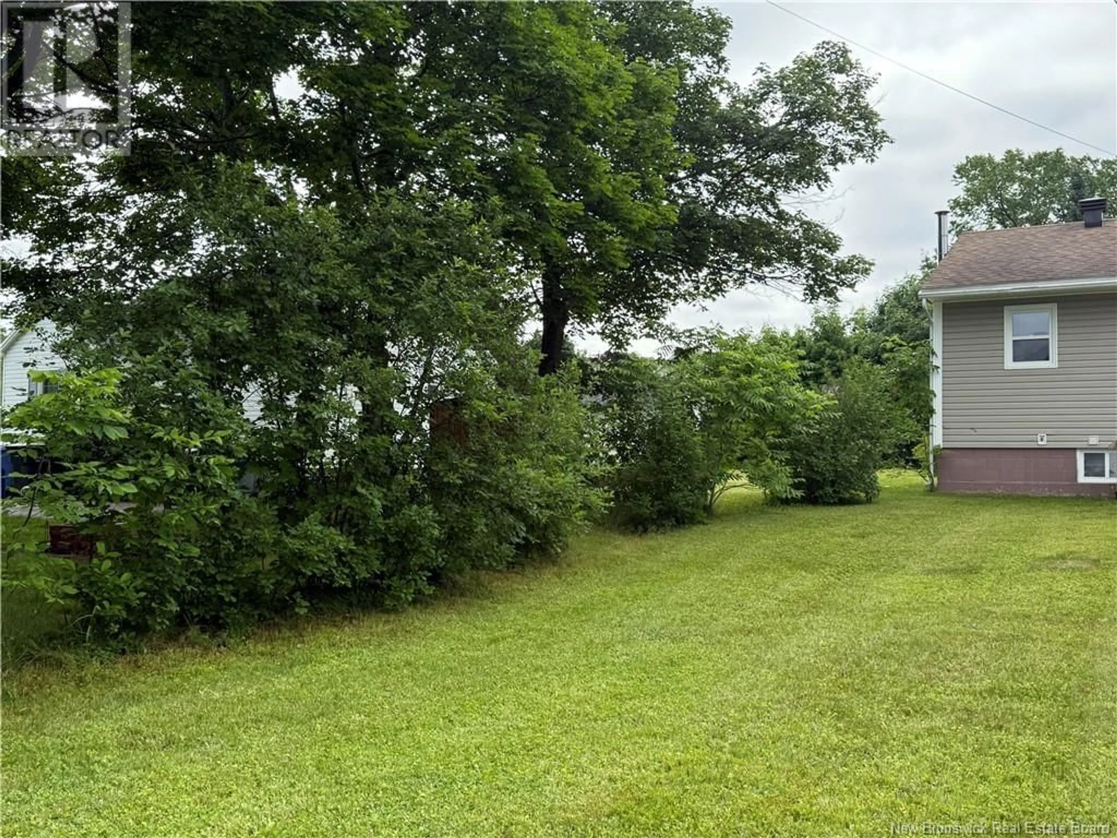 A pic from outside/outdoor area/front of a property/back of a property/a pic from drone, forest/trees view for 10 MARVEN STREET, Miramichi New Brunswick E1N1W9