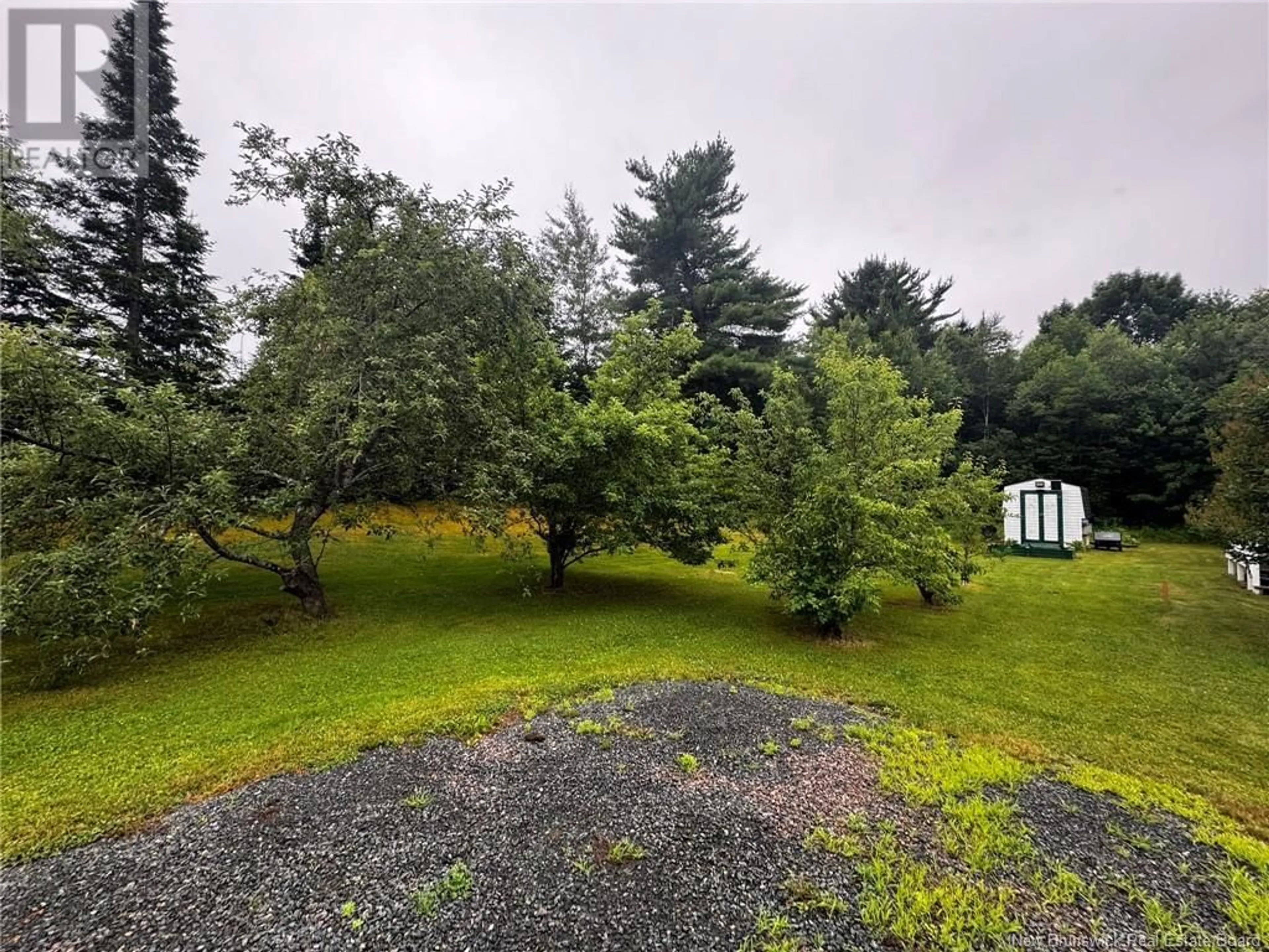 A pic from outside/outdoor area/front of a property/back of a property/a pic from drone, forest/trees view for 91 HWY 420, South Esk New Brunswick E1V4P2