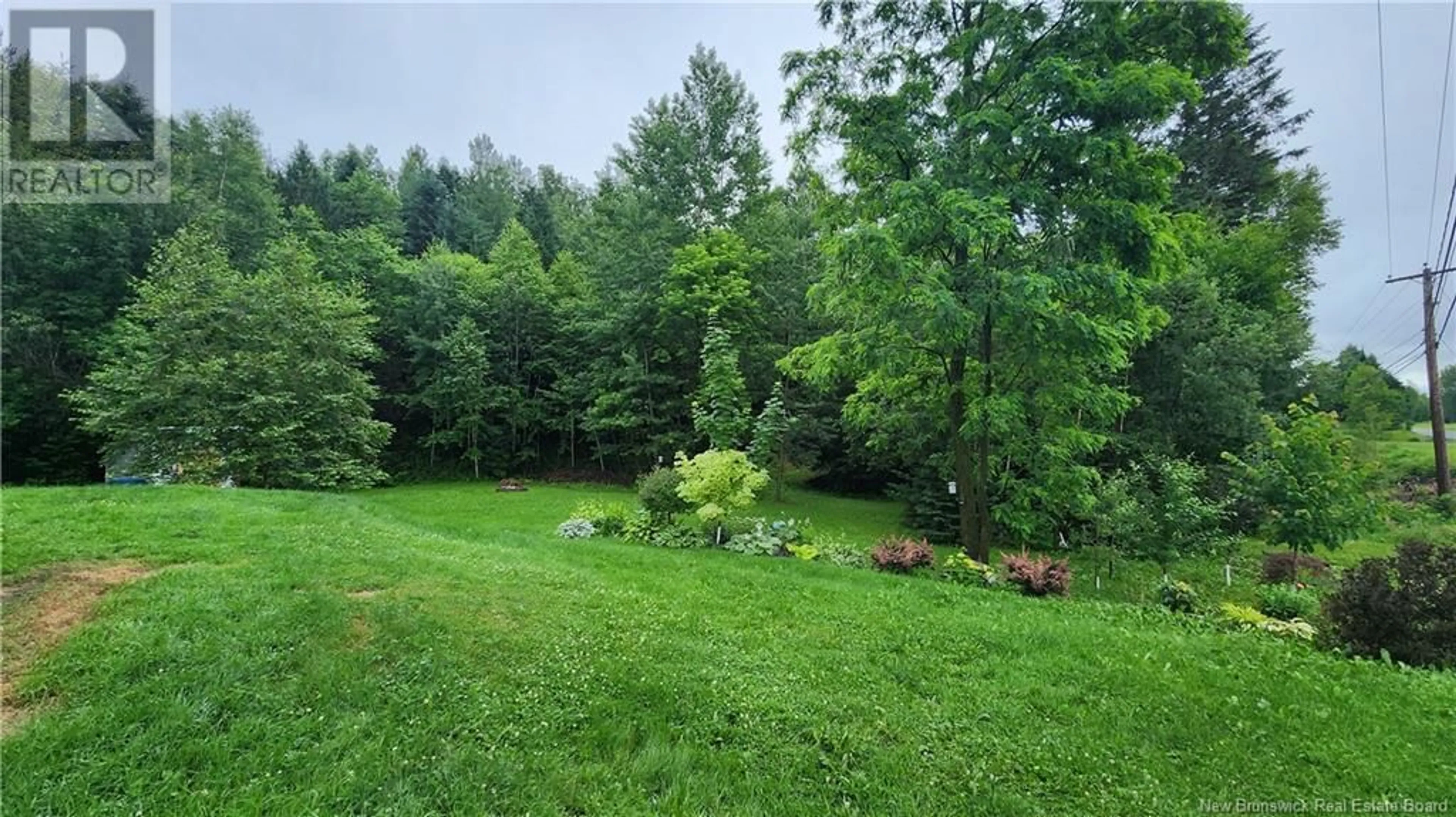 A pic from outside/outdoor area/front of a property/back of a property/a pic from drone, forest/trees view for 10400 RTE 105 ROUTE, Beechwood New Brunswick E7J2B3