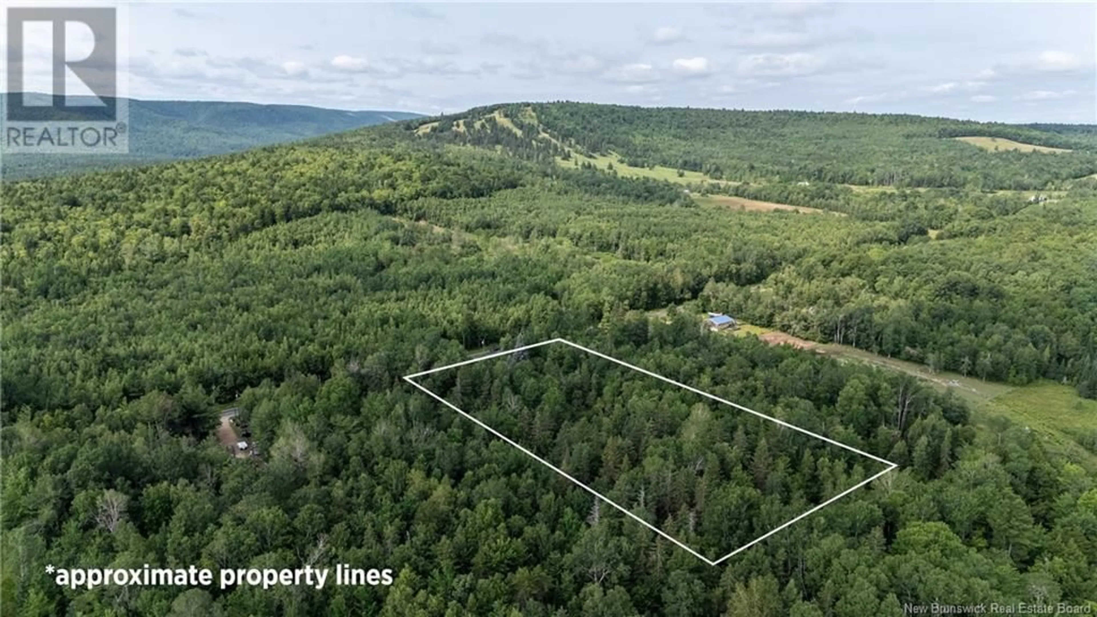 A pic from outside/outdoor area/front of a property/back of a property/a pic from drone, forest/trees view for 4148 ROUTE 910, Shenstone New Brunswick E4H4H2