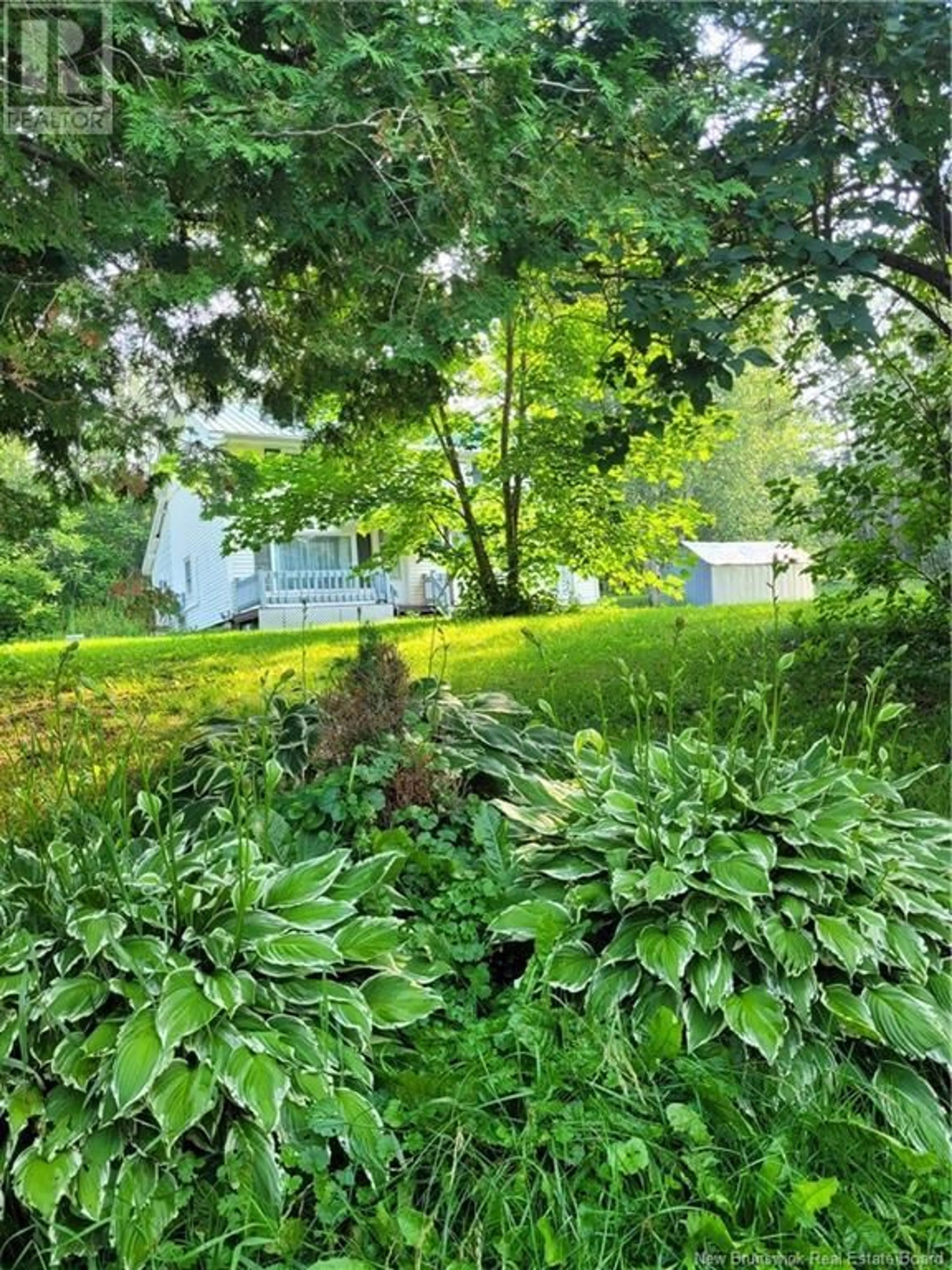 A pic from outside/outdoor area/front of a property/back of a property/a pic from drone, forest/trees view for 876 CENTRAL STREET, Centreville New Brunswick E7K2E7
