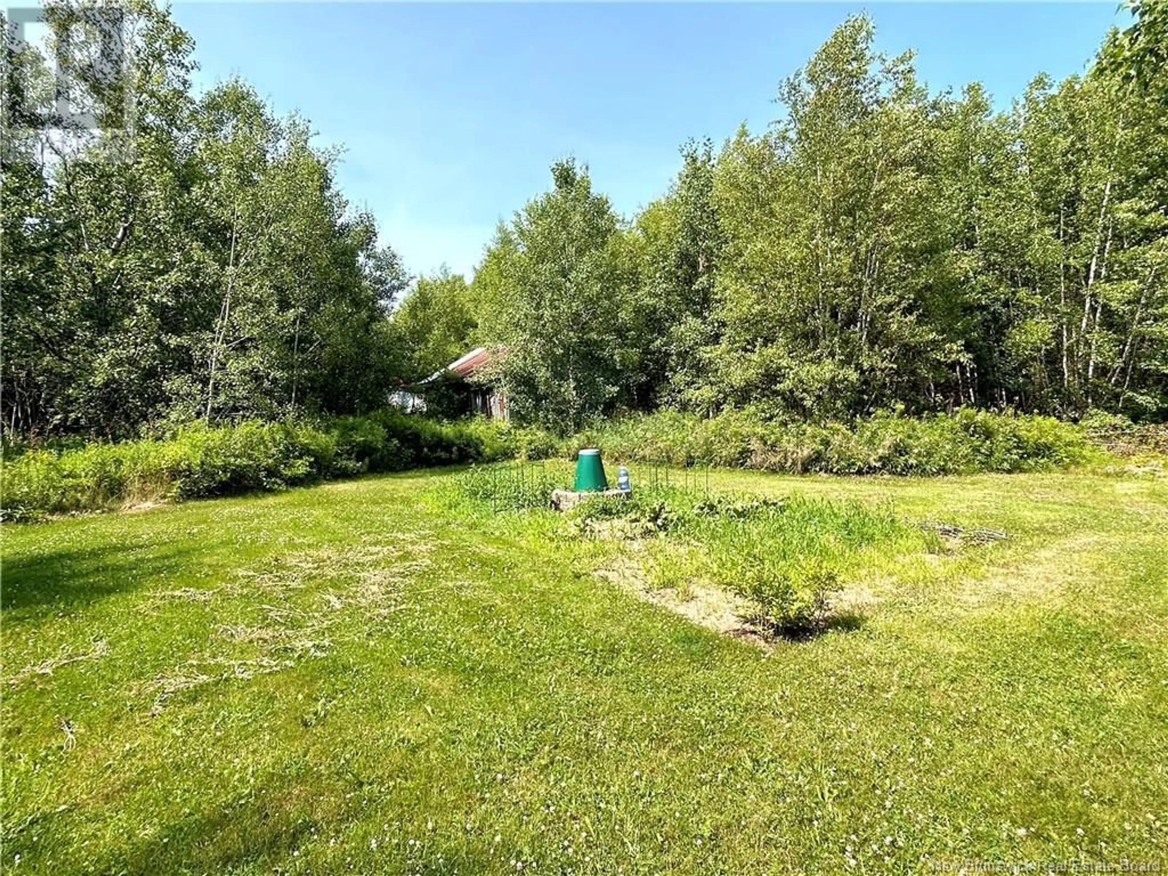 A pic from outside/outdoor area/front of a property/back of a property/a pic from drone, forest/trees view for 5090 ROUTE 117, Baie-Sainte-Anne New Brunswick E9A1R2