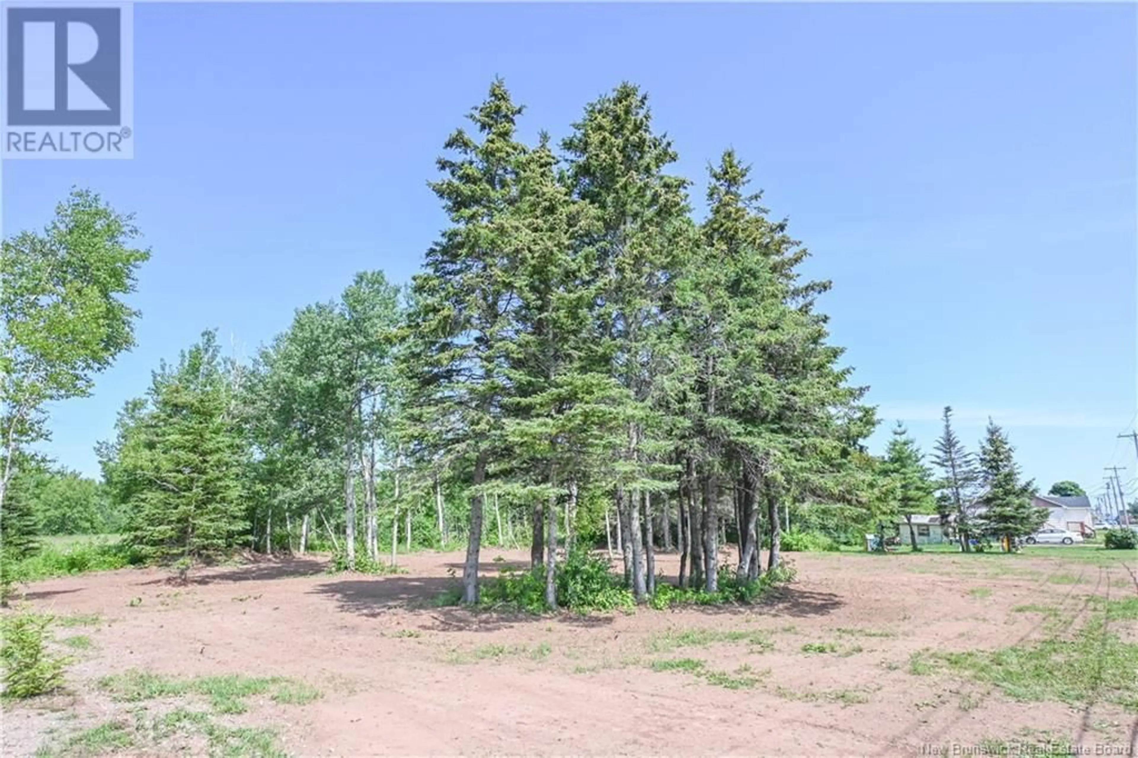 A pic from outside/outdoor area/front of a property/back of a property/a pic from drone, forest/trees view for 171 12E RUE STREET, Shippagan New Brunswick E8S1C4
