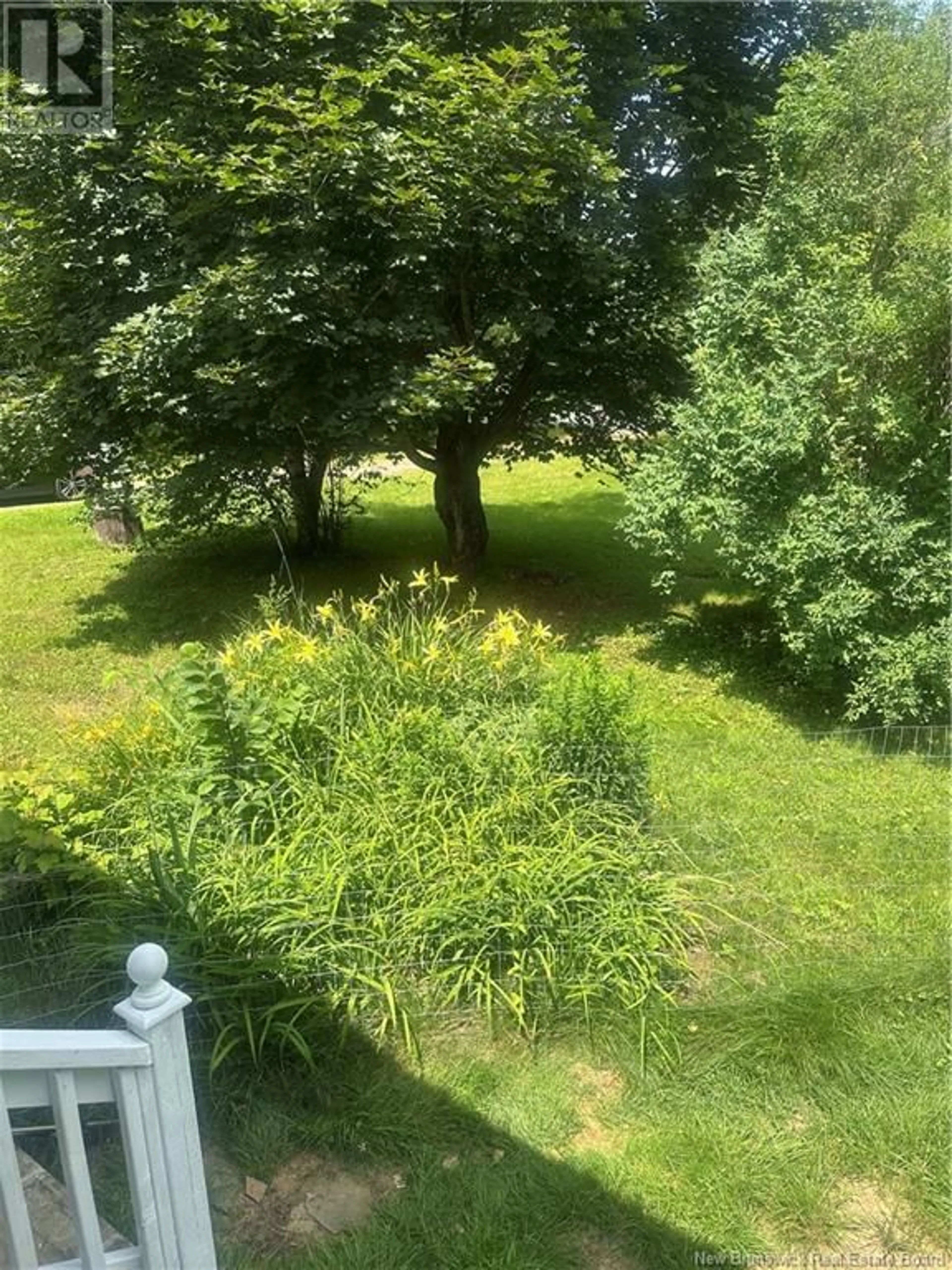 A pic from outside/outdoor area/front of a property/back of a property/a pic from drone, forest/trees view for 1417 ROUTE 104, Zealand New Brunswick E6L2H1